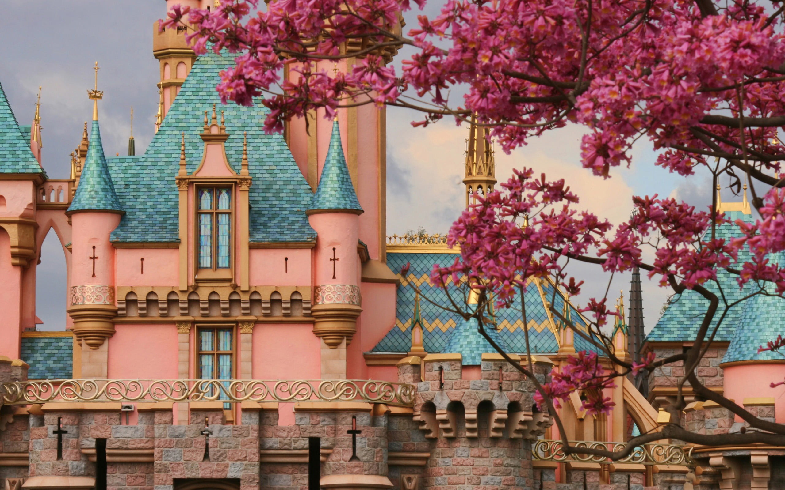 fragility, low angle view, building, flower, growth, castle, pink color, building exterior, cherry blossom, plant, sleeping, springtime, day, outdoors, HD Wallpaper