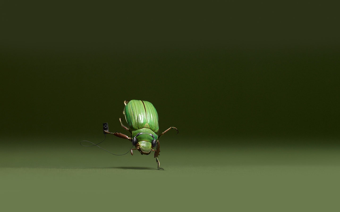 digital art, animal eye, nature, green color, black background, 720P, fly, insect, animals in the wild, housefly, no people, animal wing, studio shot, HD Wallpaper