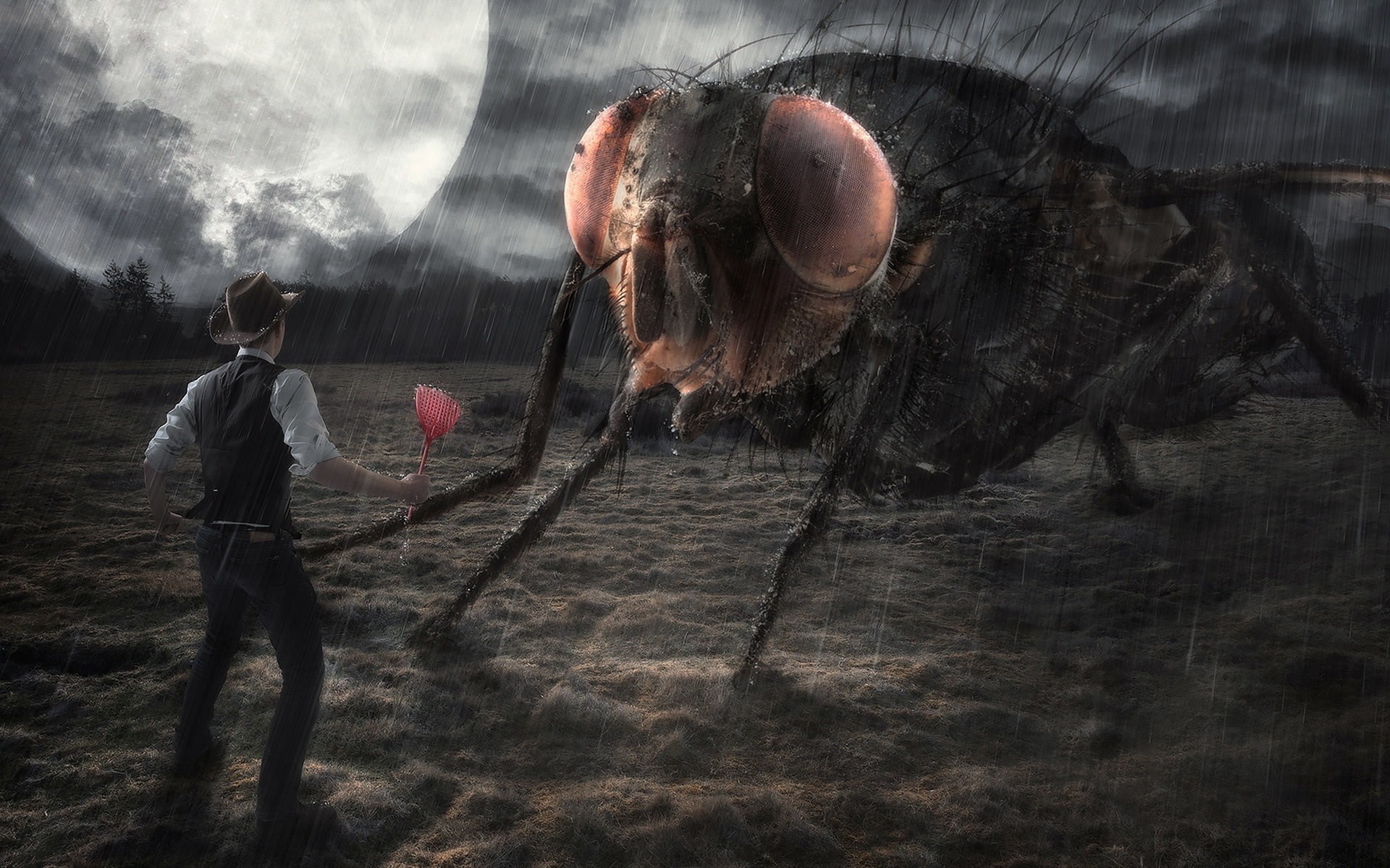 1080P, Moon, Design, Night, Man, Creative, Rain, Housefly, HD Wallpaper