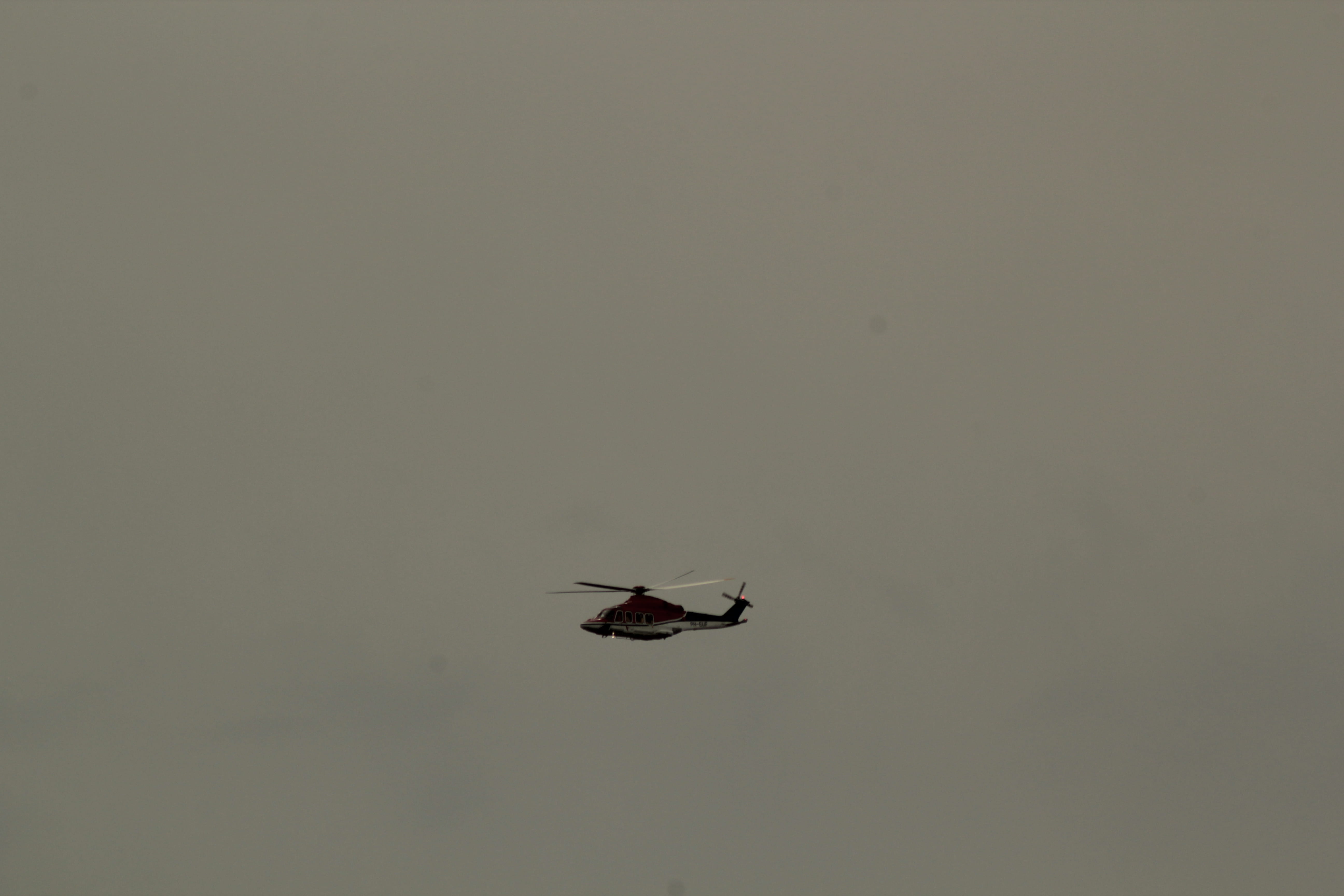 one animal, animal wing, housefly, no people, animal, fly, cut out, indoors, insect, helicopter, 5K, studio shot, invertebrate, animal body part, animals in the wild, HD Wallpaper