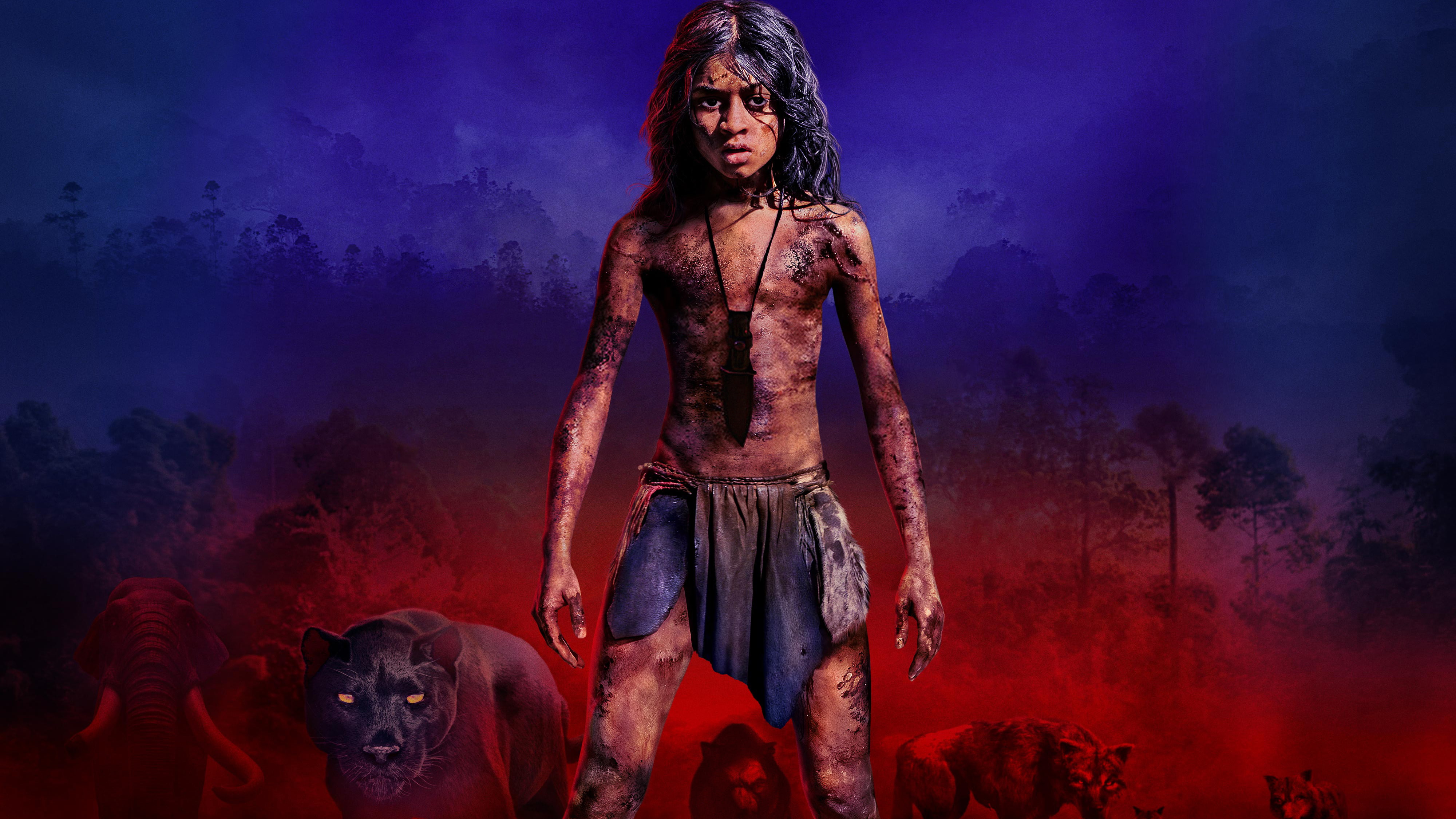 Legend, k, 2018, Jungle, 4K, Mowgli, The, HD Wallpaper
