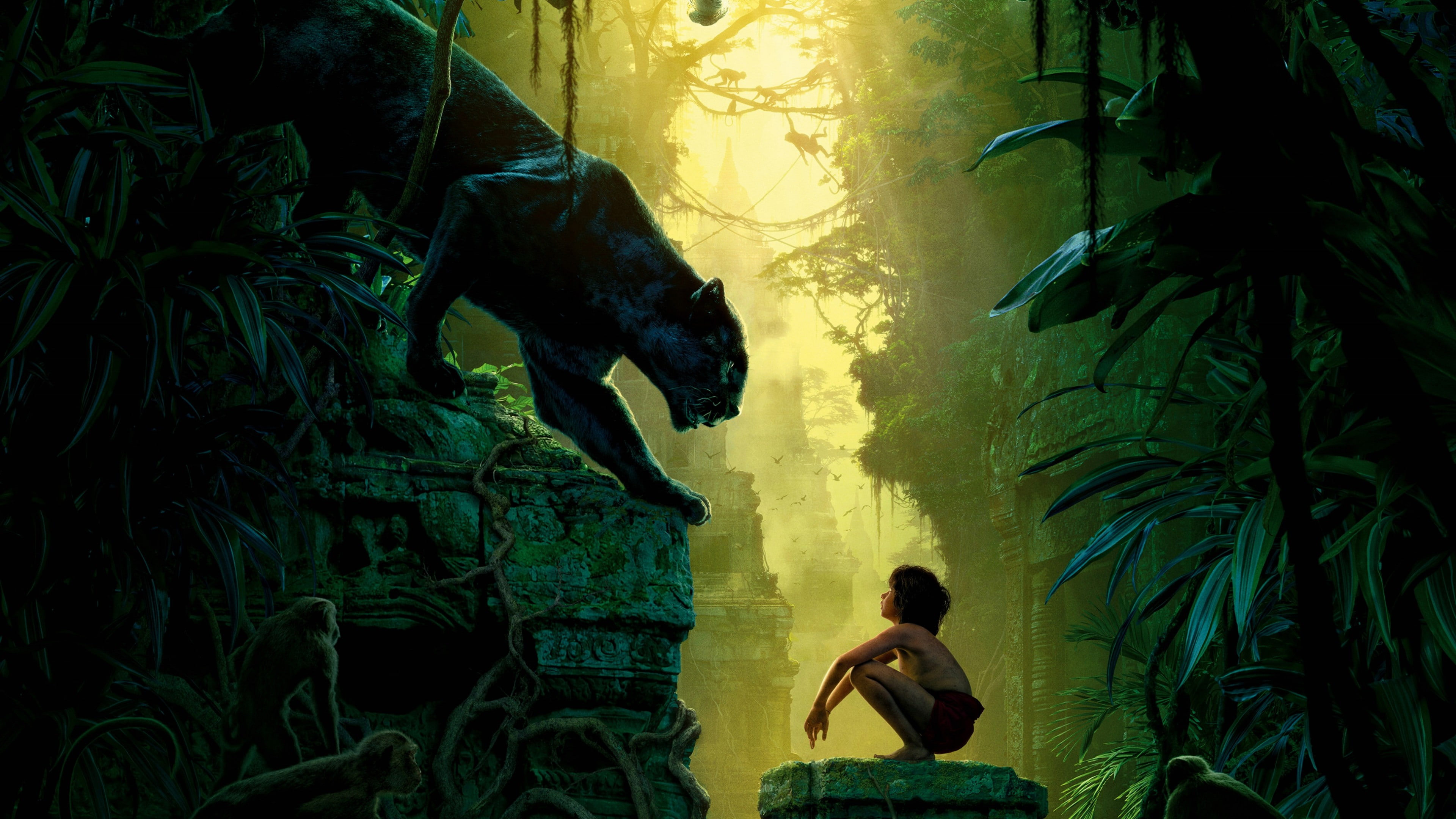 adventure, The Jungle Book, Mowgli, poster, jungle, book, 4K, fantasy, Bagheera, Best movie of 2016, film, HD Wallpaper