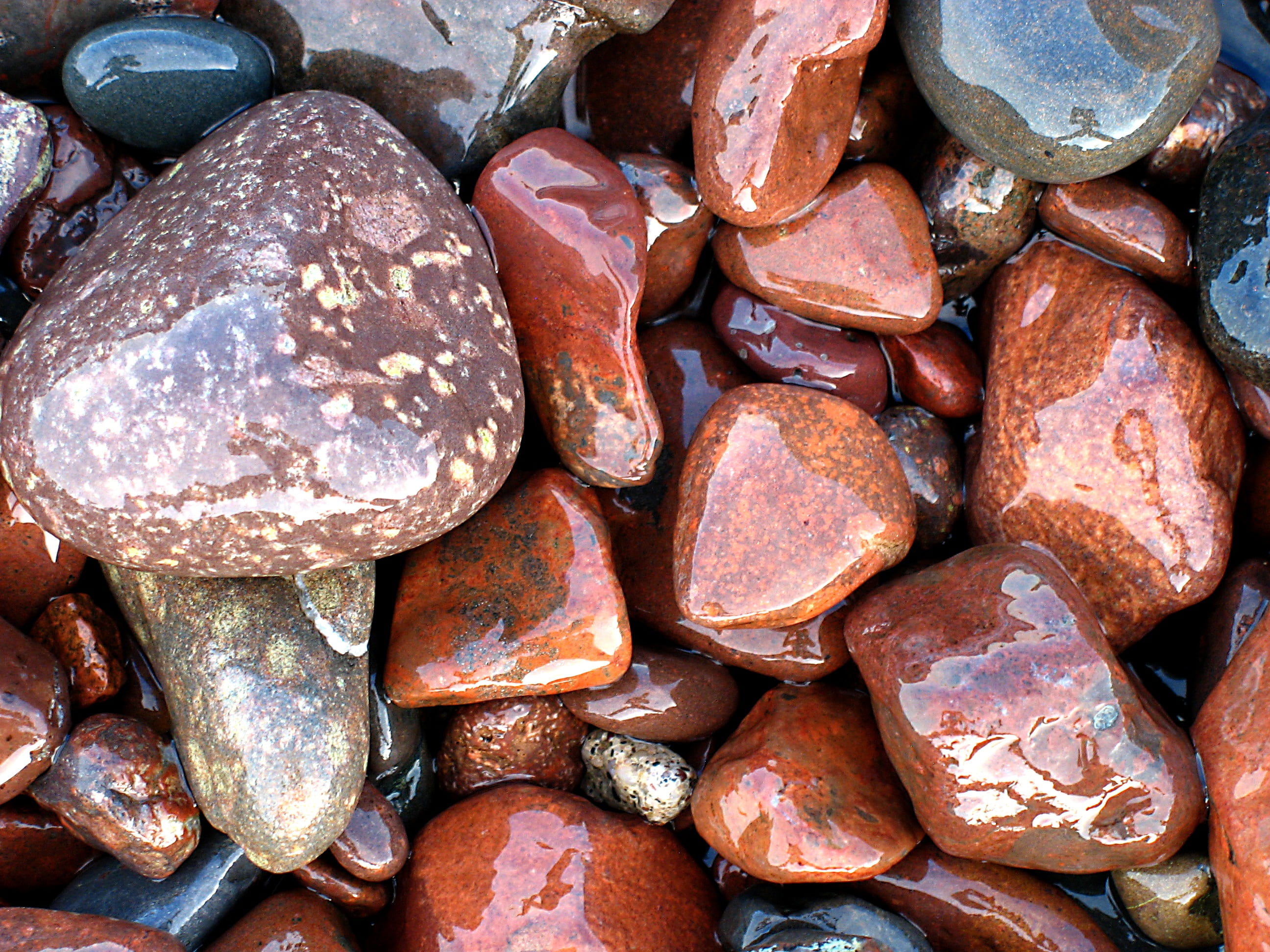 beach, nature, for sale, brown, pebbles, water, snack, sea, large group of objects, gray, 2K, freshness, photo, wellbeing, natural, food and drink, still life, HD Wallpaper