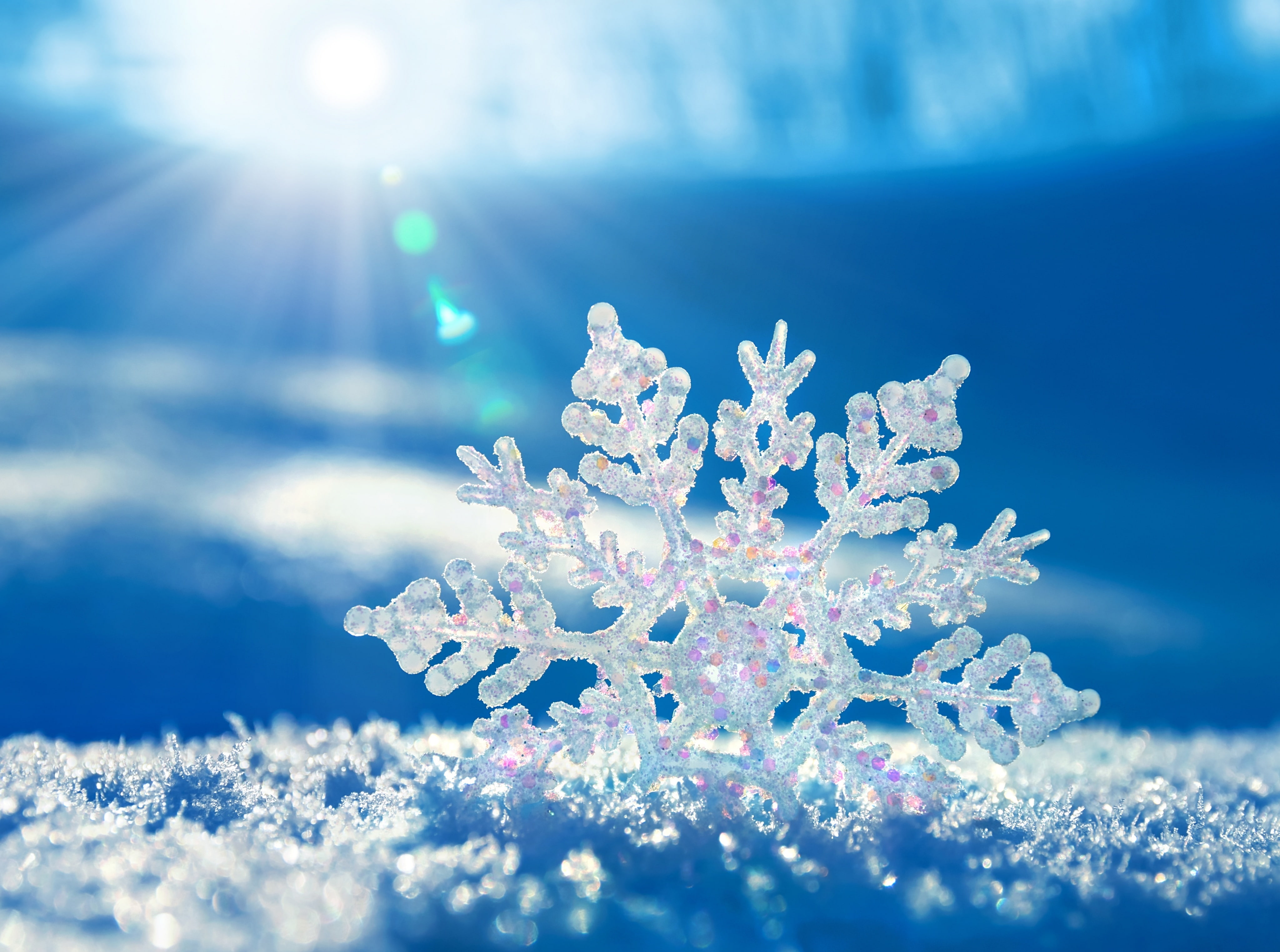 sun, vulnerability, Aero, Macro, cold temperature, sky, no people, bright, sunlight, fragility, blue, flower, ice, white, nature, frozen, Snowflake, flowering plant, HD Wallpaper