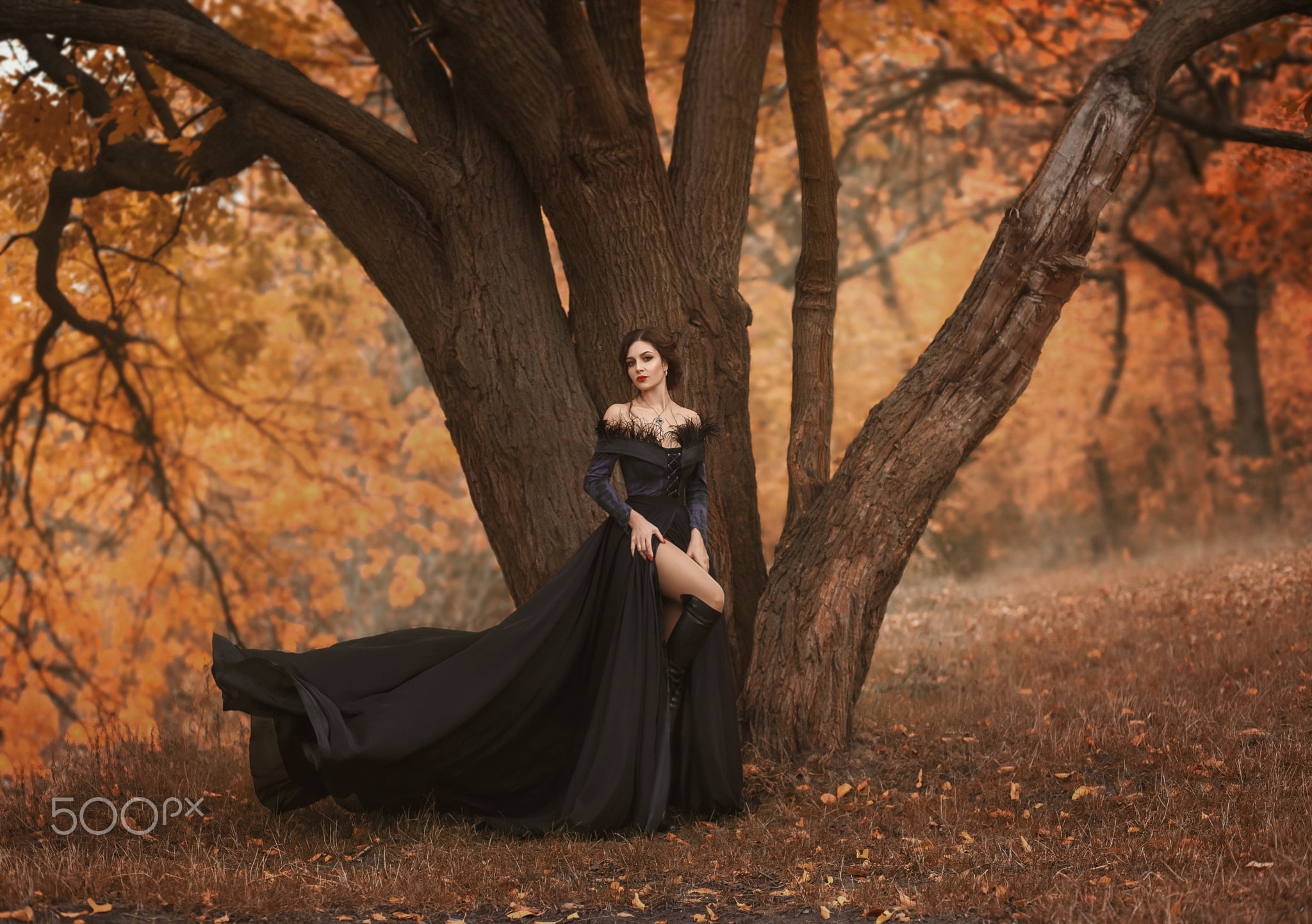 gothic style, beauty, Irina Chernyshenko, black color, beautiful woman, plant, hairstyle, black dress, nature, clothing, fashion, elegance, outdoors, plant part, HD Wallpaper