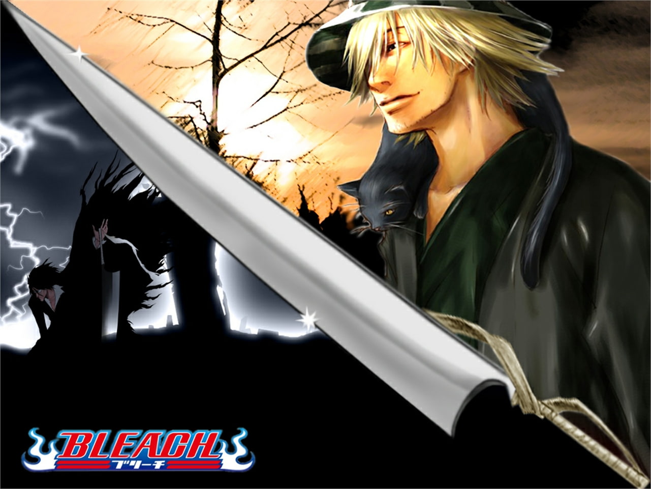 Kisuke Urahara, 720P, Yoruichi Shihôin, Zangetsu (Bleach), Bleach, HD Wallpaper