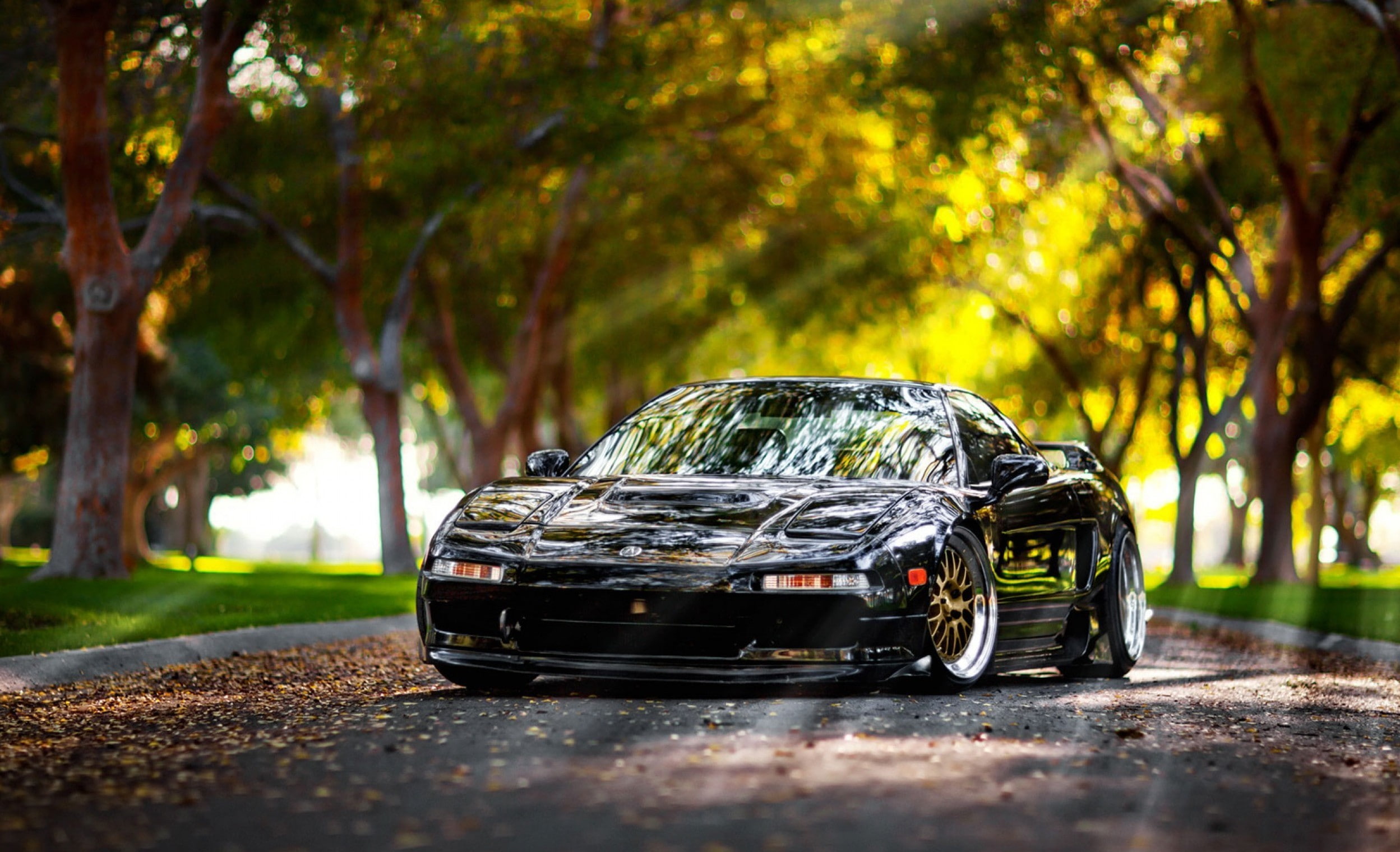 mode of transportation, Acura NSX, land vehicle, day, surface level, selective focus, road, wheel, toy car, motor vehicle, nature, outdoors, plant, tire, HD Wallpaper