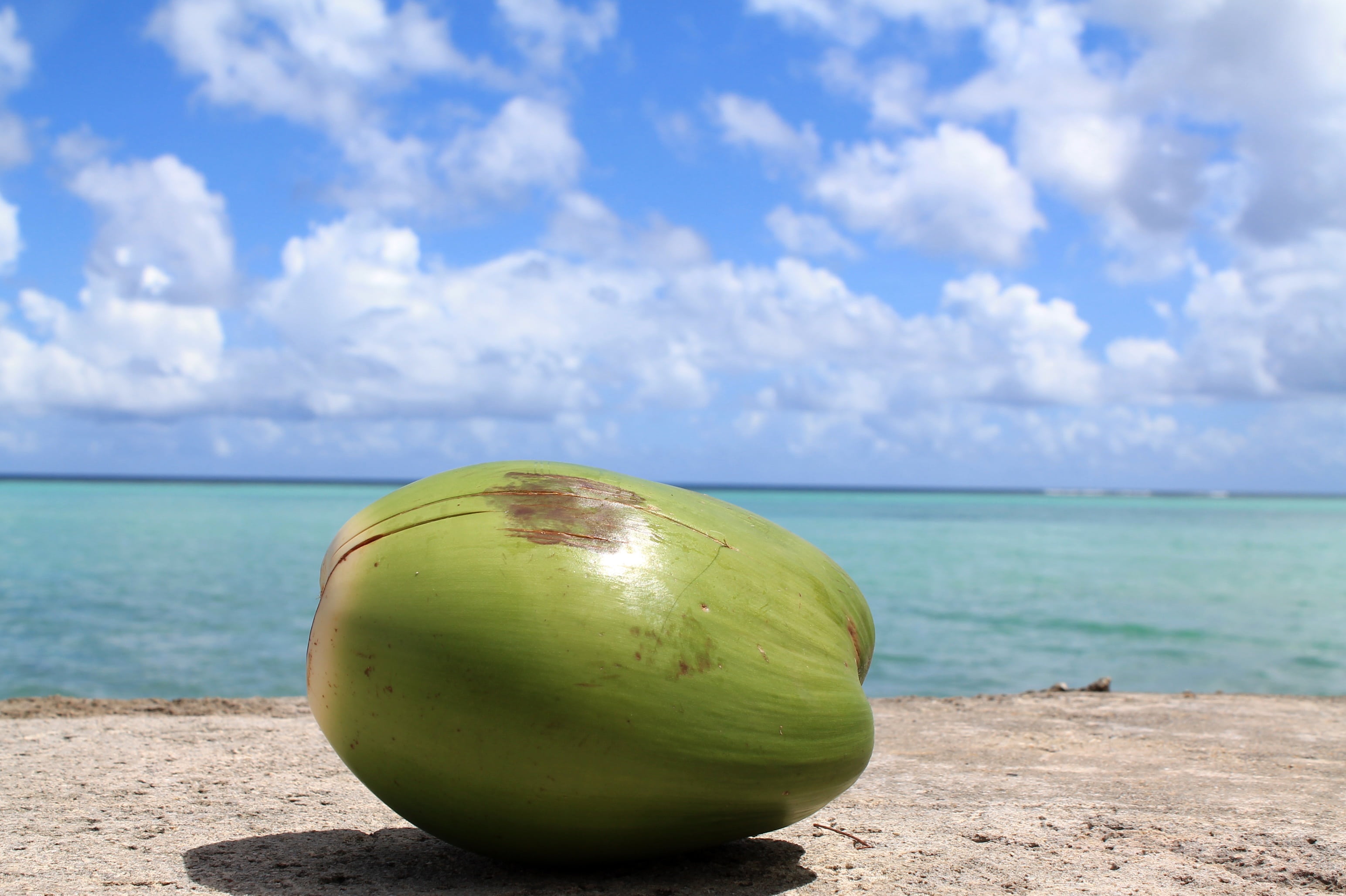 sea, sky, happy, summer vacation, horizon over water, coconut, day, healthy eating, cloud - sky, tranquil scene, outdoors, ocean, island, peaceful, blue, HD Wallpaper