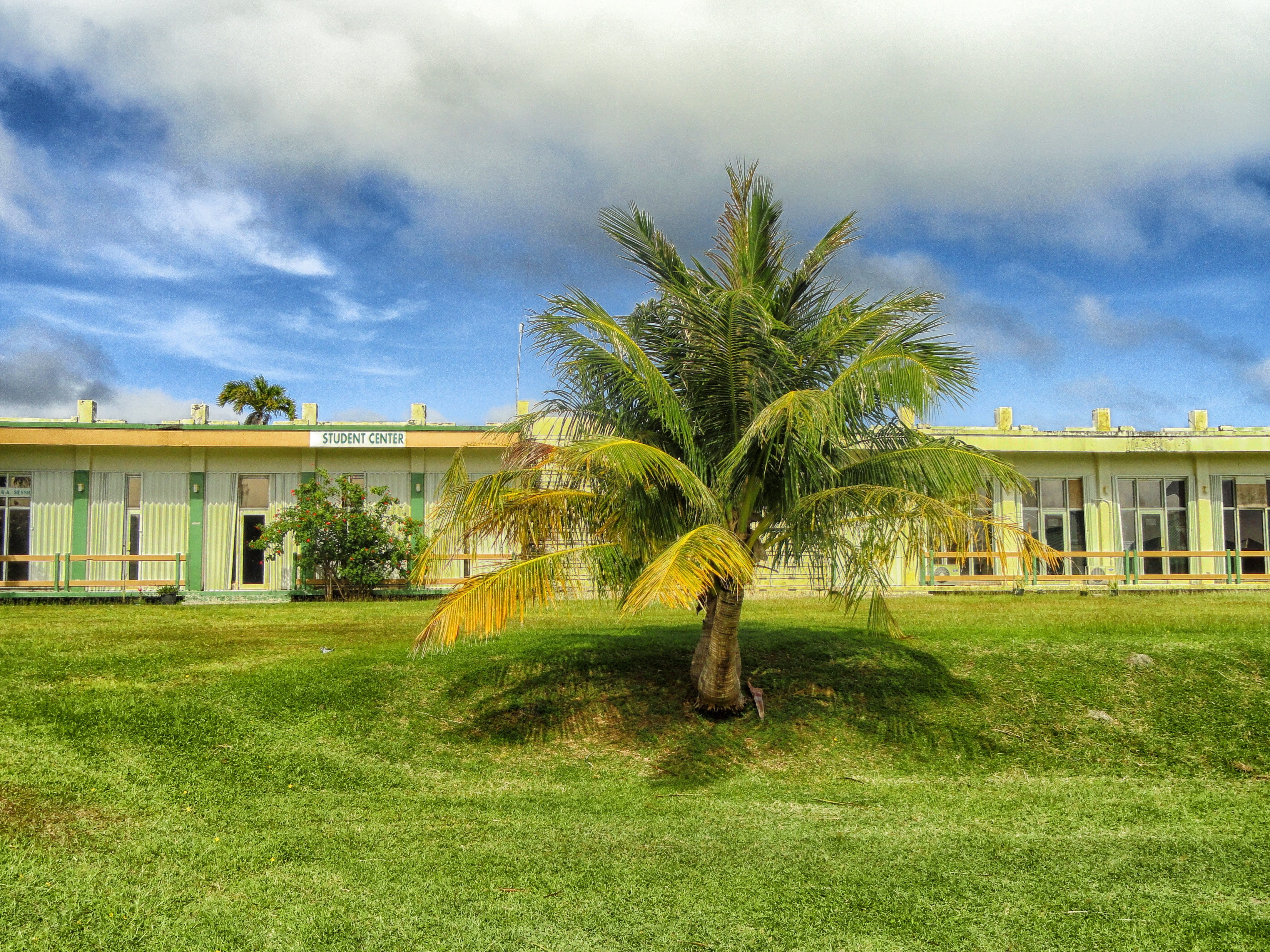 outdoors, day, no people, land, building, house, school, hdr, architecture, clouds, grass, field, palm, luxury, built structure, tropical climate, landscape, HD Wallpaper