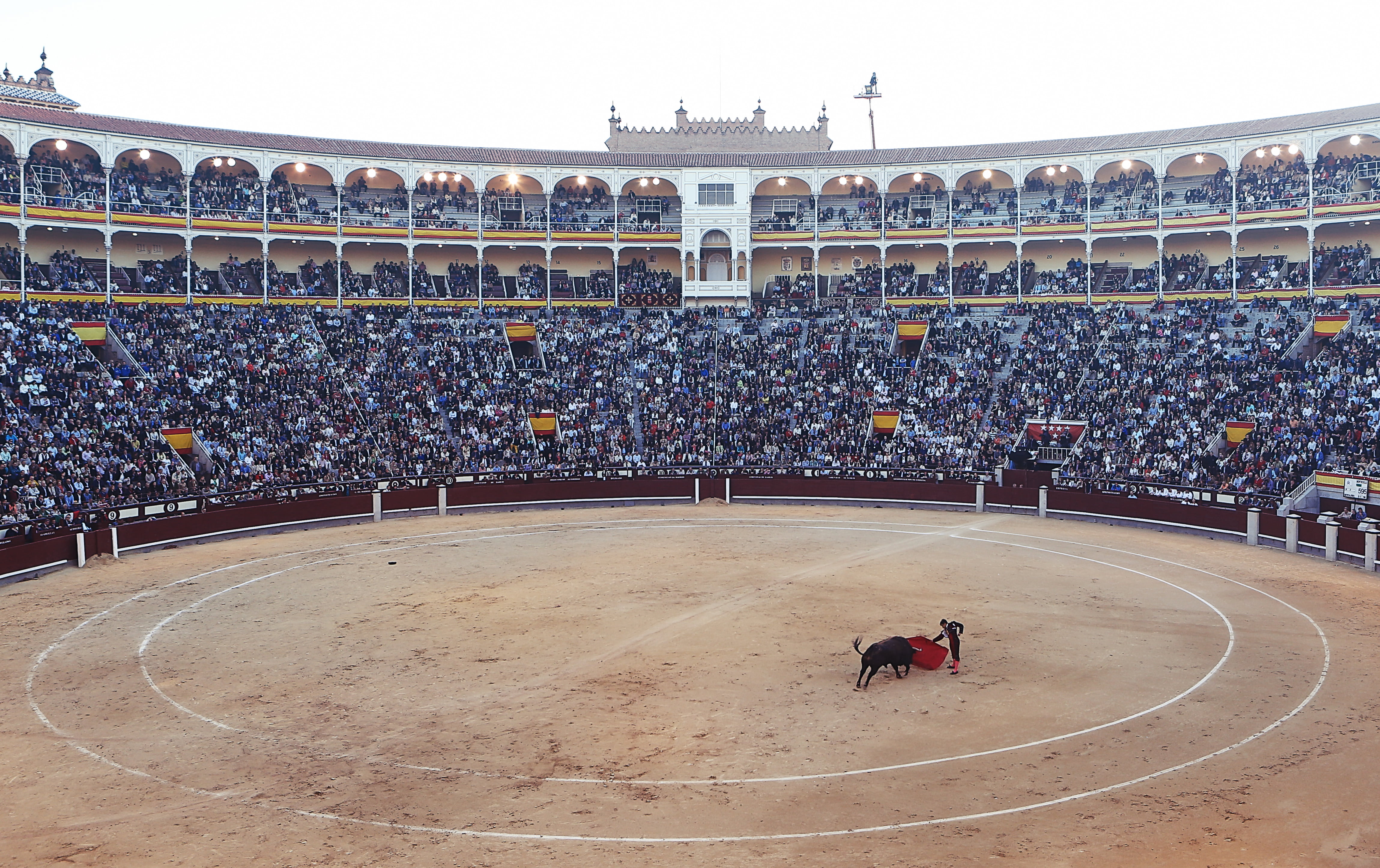 group of people, built structure, torero, spain, spectators, bullfighter, sport, daytime, 4K, flag, outdoors, photo, ring, crowd, real people, cape, audience, HD Wallpaper