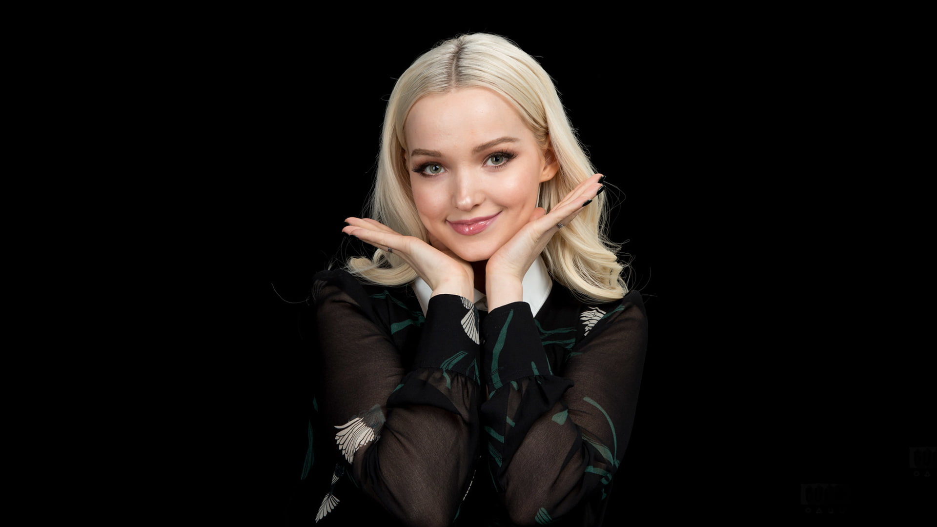 dove, 1080P, cameron, HD Wallpaper