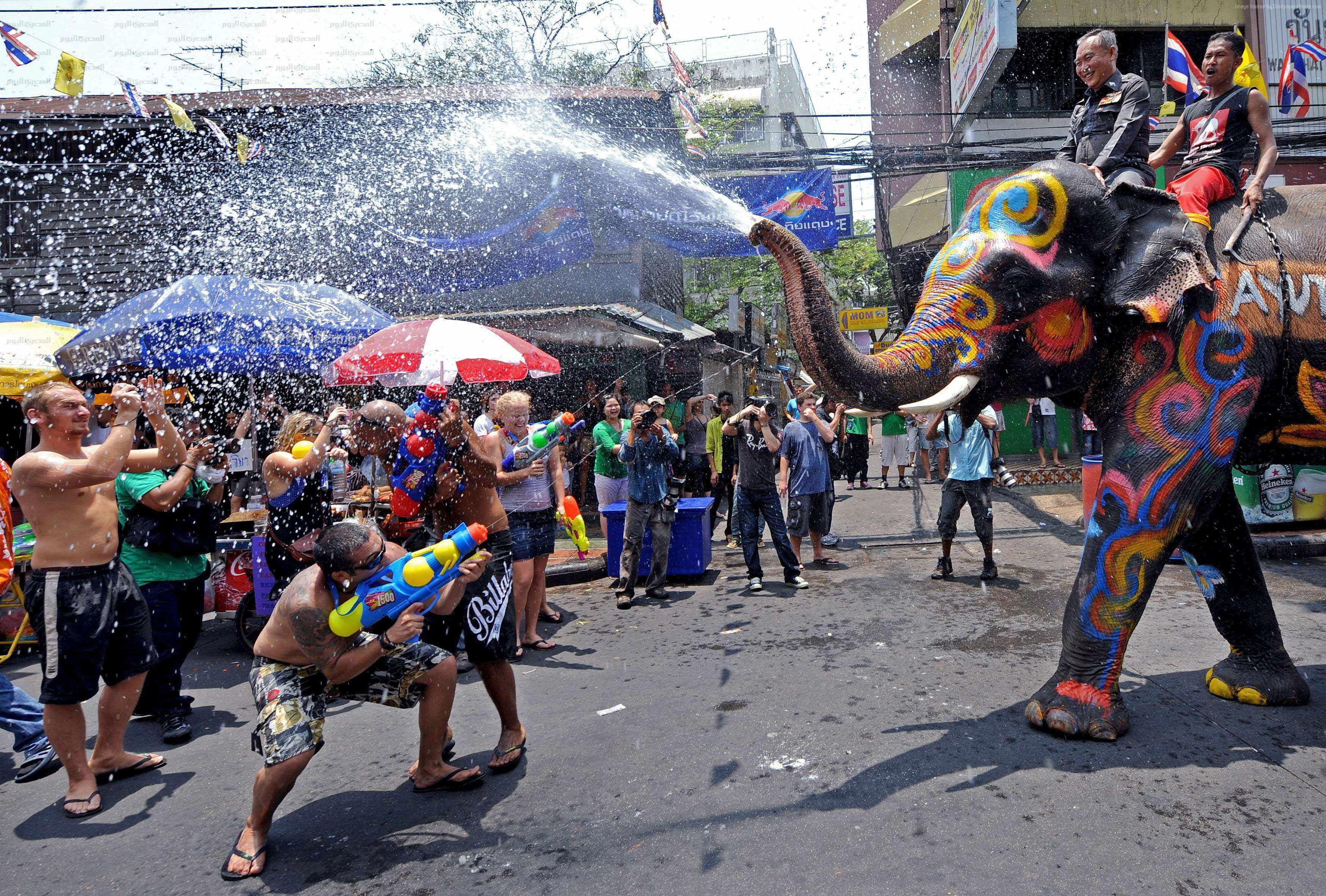 2K, Thai New Year, Water Festival, elephant, Thailand, event, Songkran, HD Wallpaper