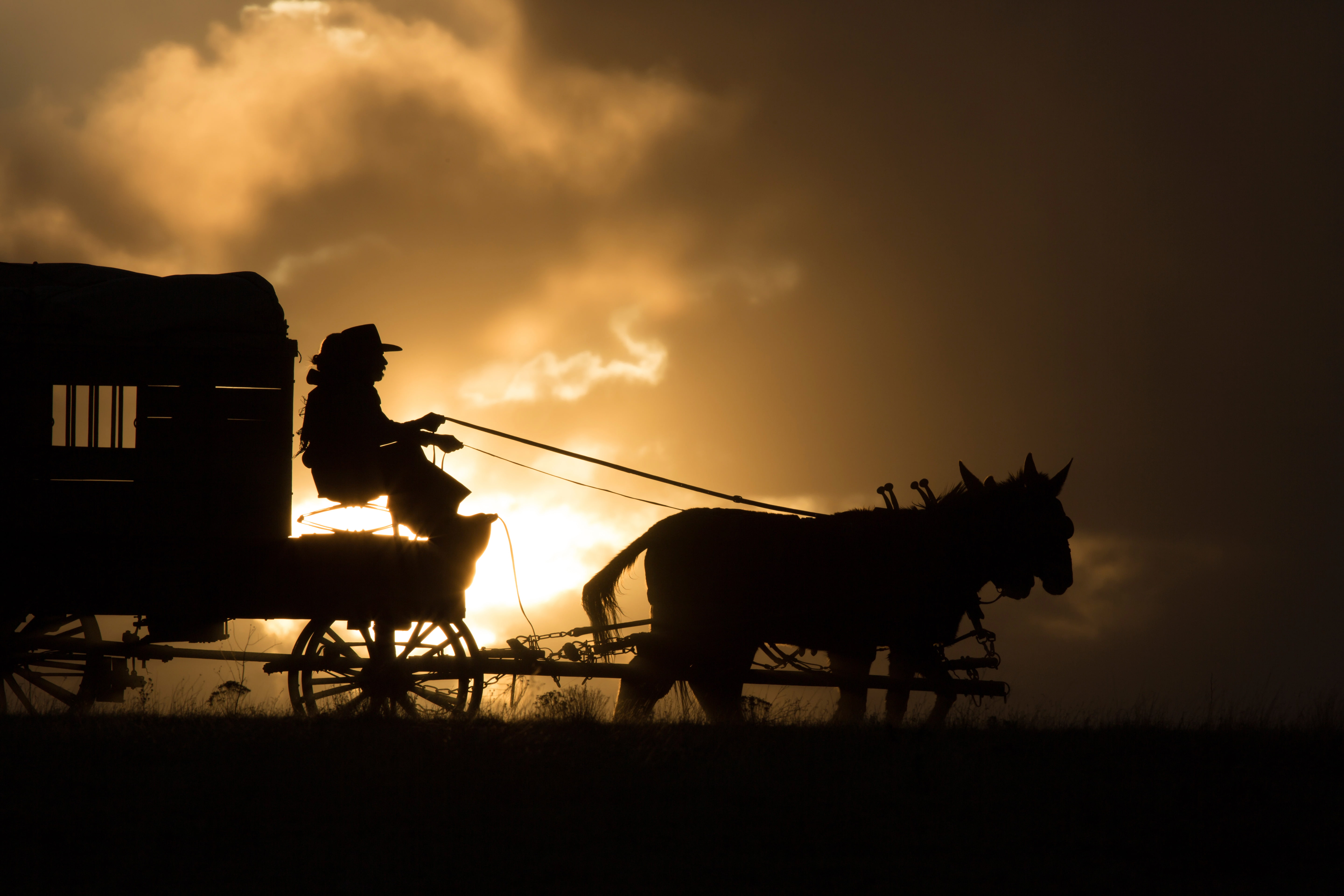 The Homesman, 5K, Tommy Lee Jones, Local, Hilary Swank, drama, Western, HD Wallpaper