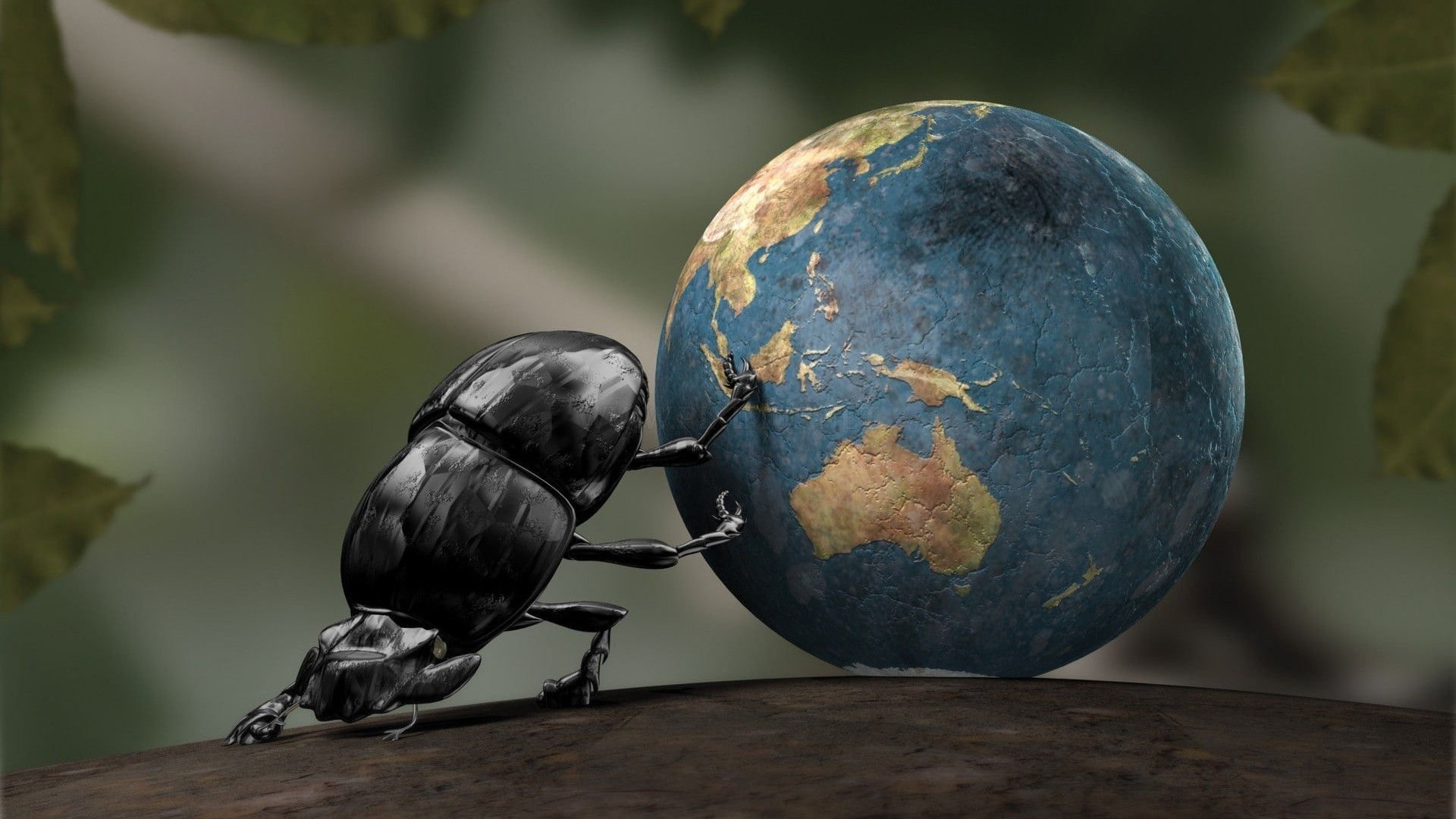 nature, vertebrate, CGI, focus on foreground, selective focus, animal wildlife, full length, outdoors, insect, black color, Dung beetle, bird, close-up, HD Wallpaper