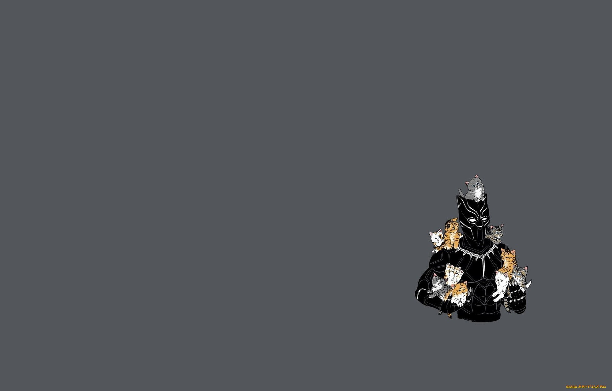 humor, nature, close-up, black background, arthropod, no people, indoors, animals in the wild, studio shot, copy space, Black Panther, animal, animal wildlife, HD Wallpaper