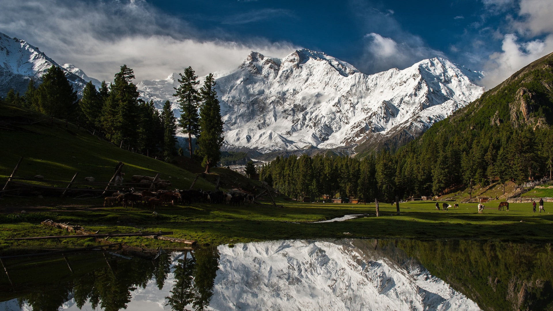 tree, land, snowcapped mountain, mountain range, pine woodland, water, beauty in nature, cold temperature, 1080P, ice, no people, mountain peak, nature, HD Wallpaper