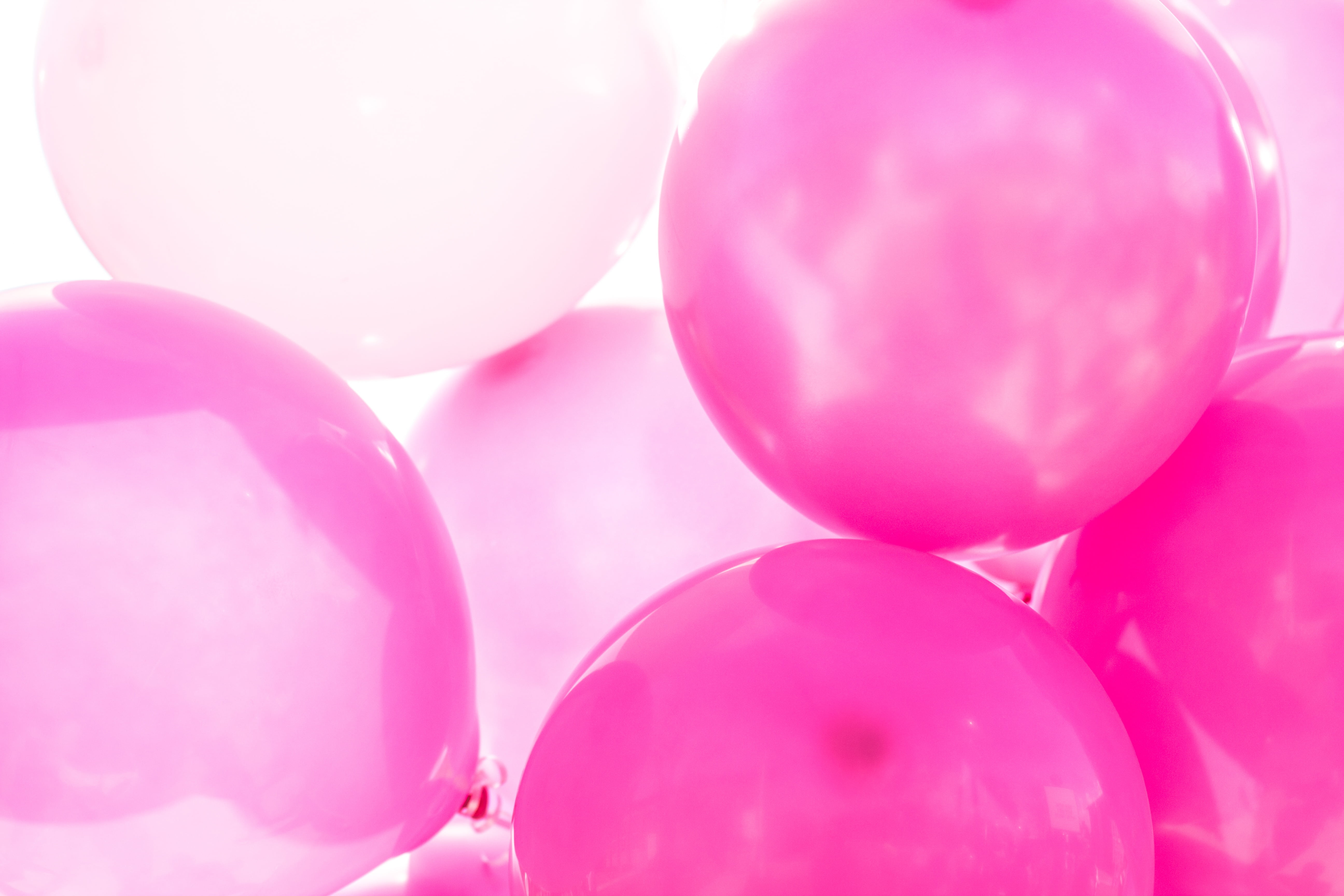 pink, celebration, close, pink color, reflect, still life, fragility, shiny, close-up, pink background, no people, medium group of objects, studio shot, HD Wallpaper