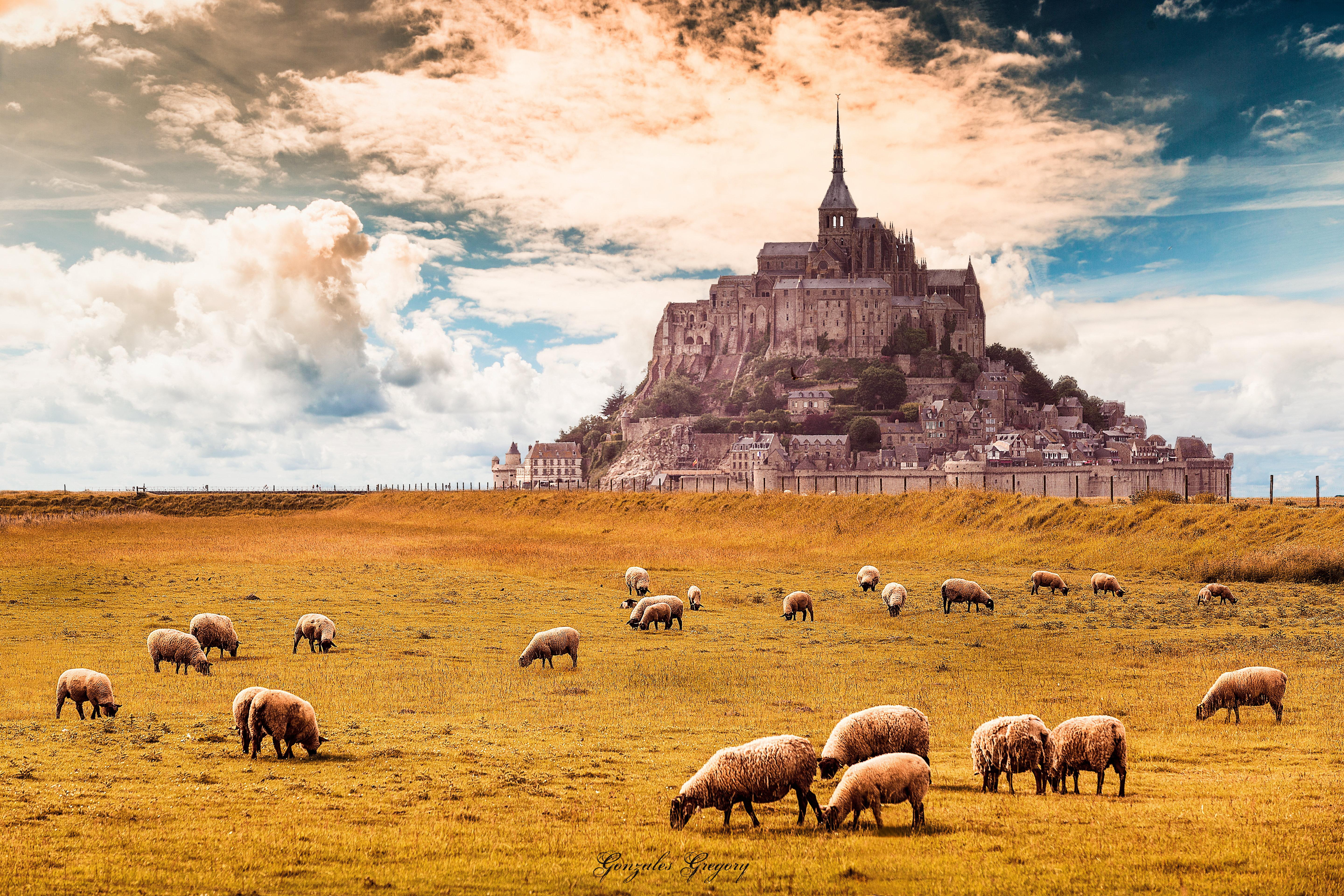 normandy, mont, michel, saint, 5K, france, HD Wallpaper
