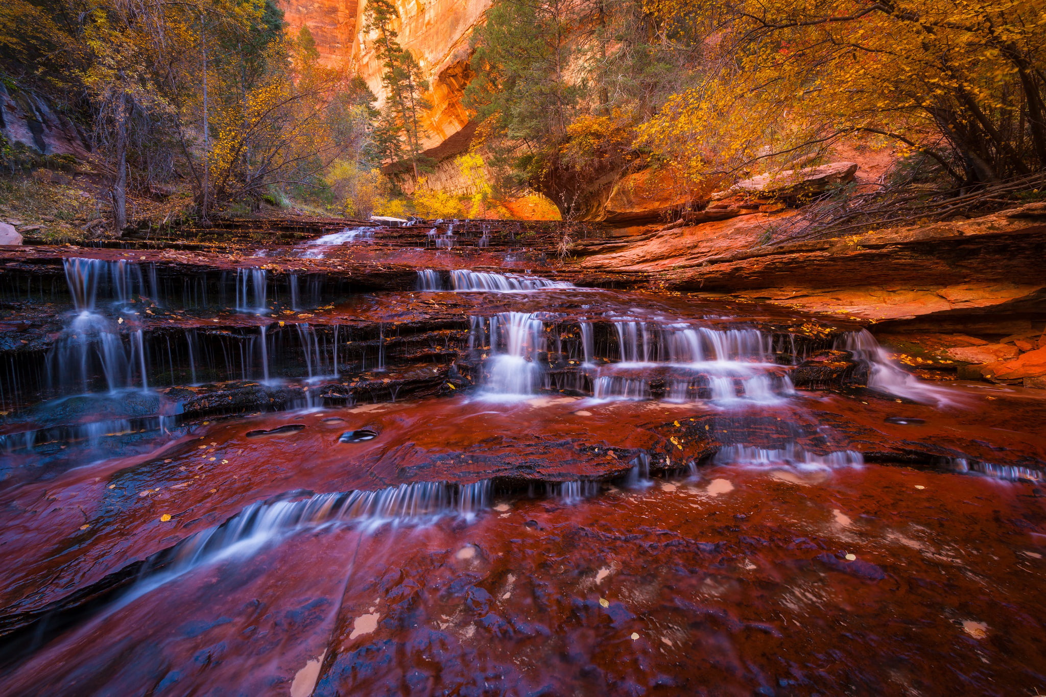 autumn, foliage, cascade Archangel, Zion national Park, 1080P, trees, Utah, rocks, state, river, stream, waterfall, USA, HD Wallpaper