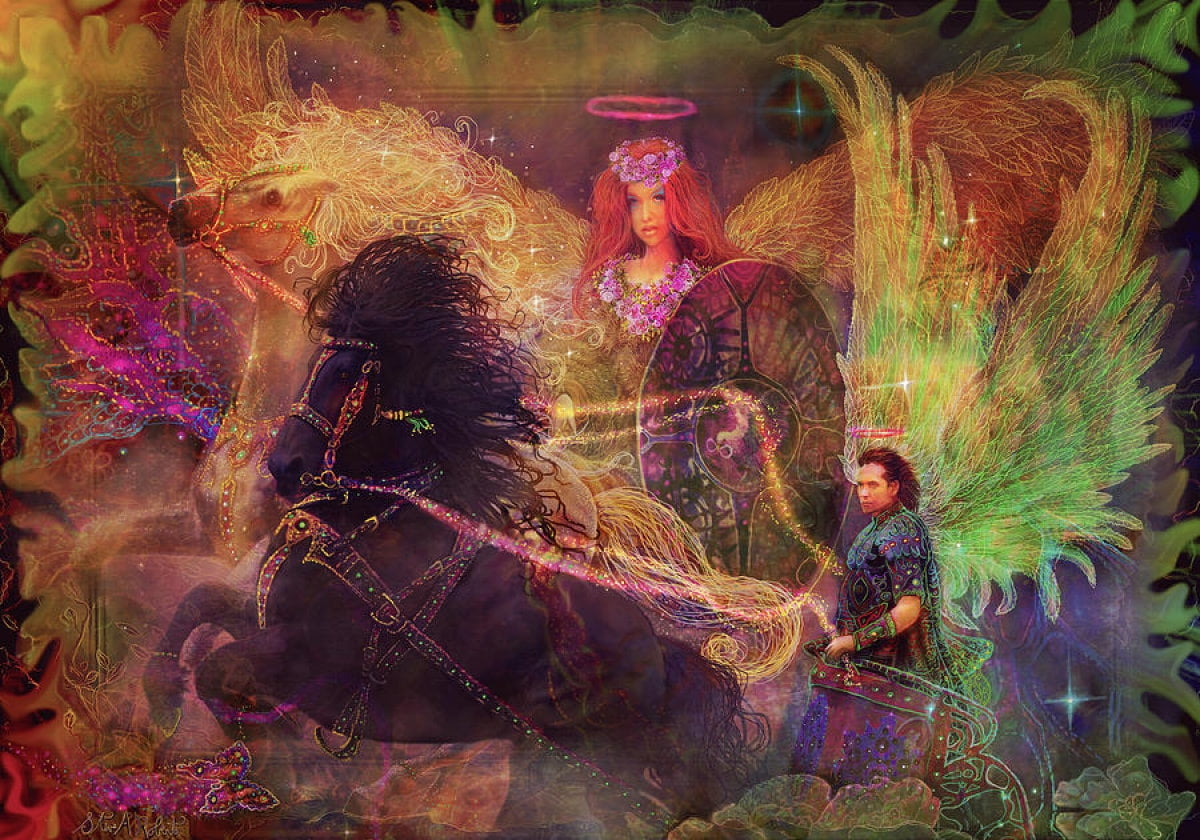 real people, wings, celebration, lifestyles, enjoyment, adult, men, horse, group of people, women, people, Archangels Ariel and Metatron, domestic animals, HD Wallpaper