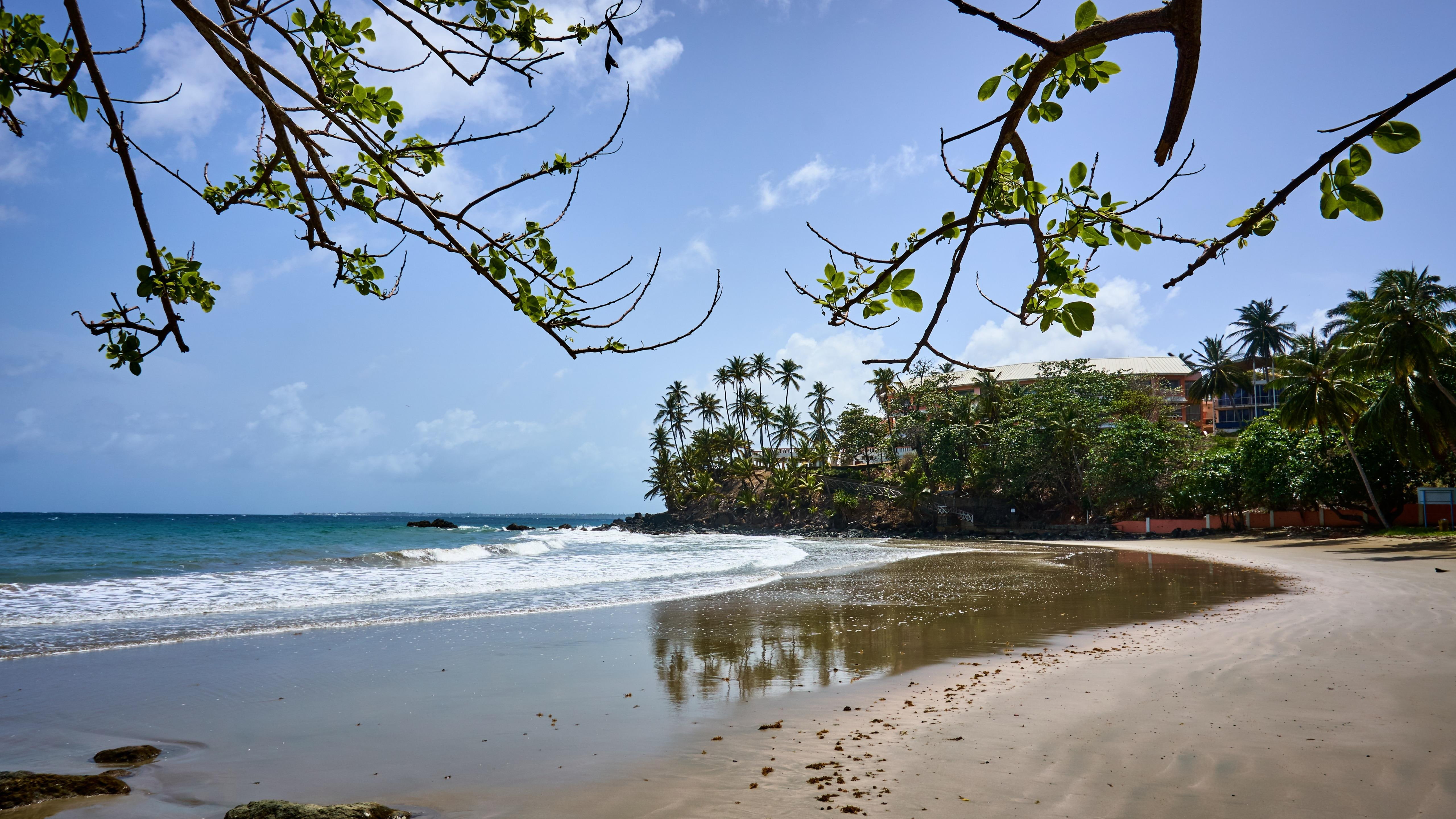 tobago, trinidad and tobago, 5K, hotel, beach, HD Wallpaper