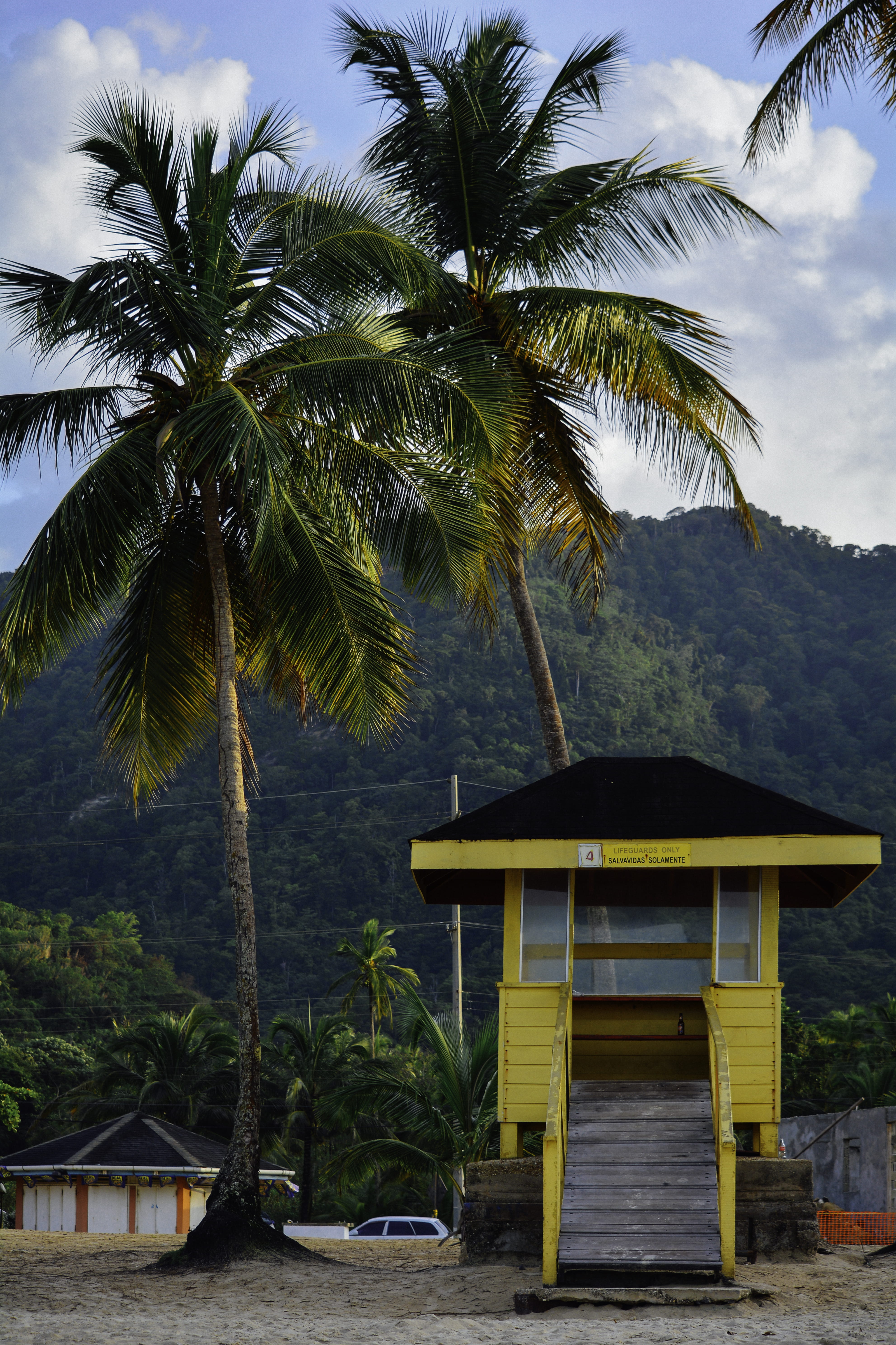 sand, tropical climate, nature, tropical, water, plant, sky, day, tropics, beauty in nature, outdoors, building, beach, growth, built structure, coconut palm tree, Phone HD Wallpaper