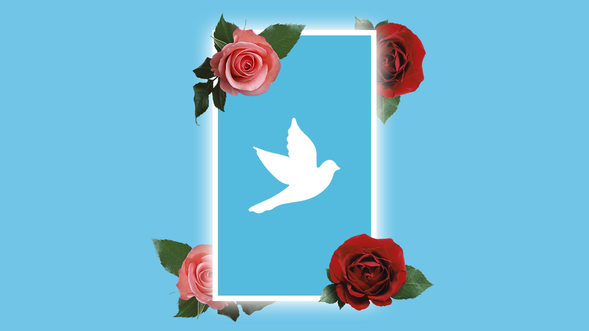 green color, flag, flowering plant, bouquet, blue, flowers, leaf, mirror, digital art, rose, beauty in nature, vase, 1080P, petal, flower arrangement, HD Wallpaper