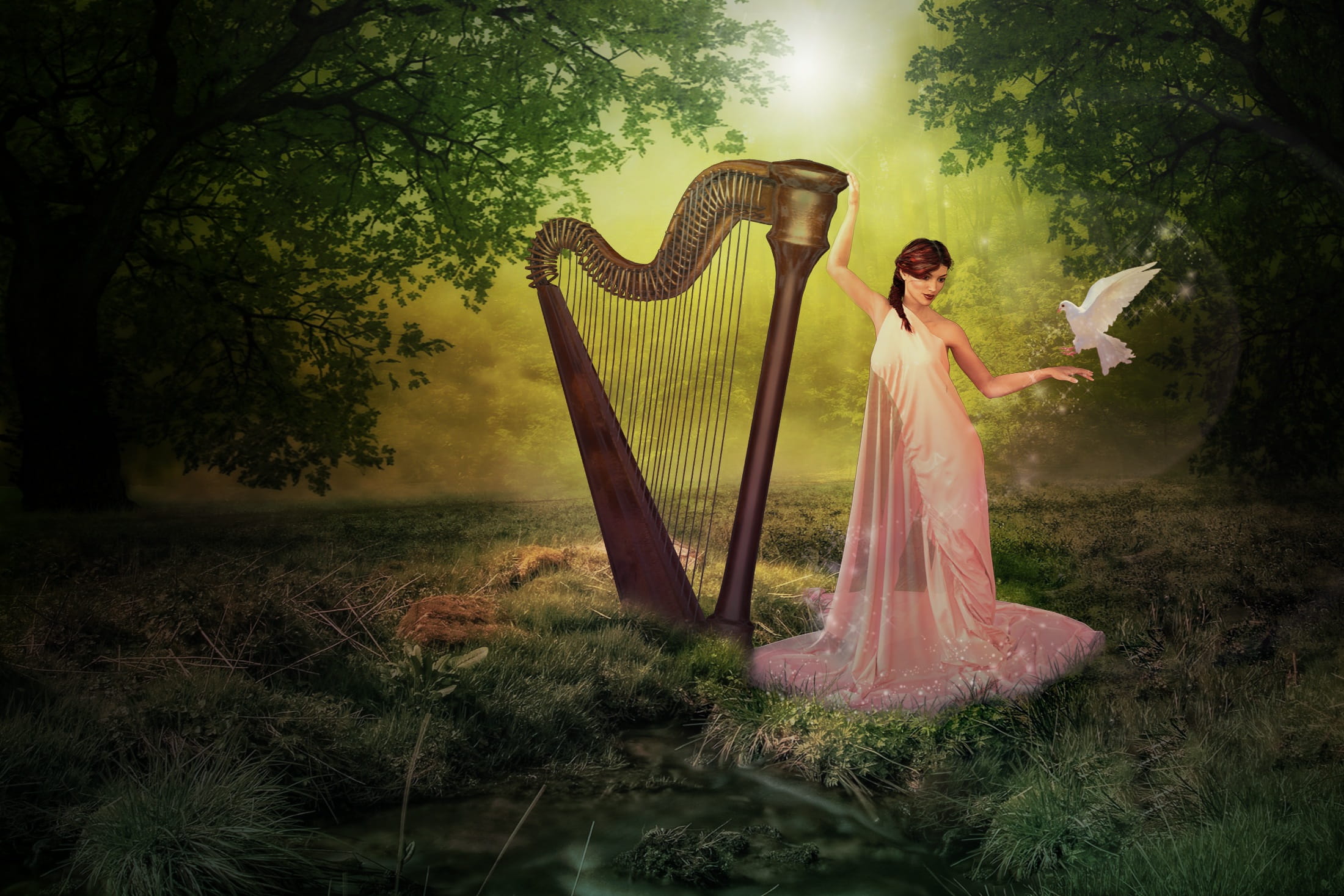 lifestyles, pigeon, clothing, tree, real people, women, standing, beautiful woman, harp, outdoors, one person, forest, fashion, hairstyle, adult, young women, HD Wallpaper