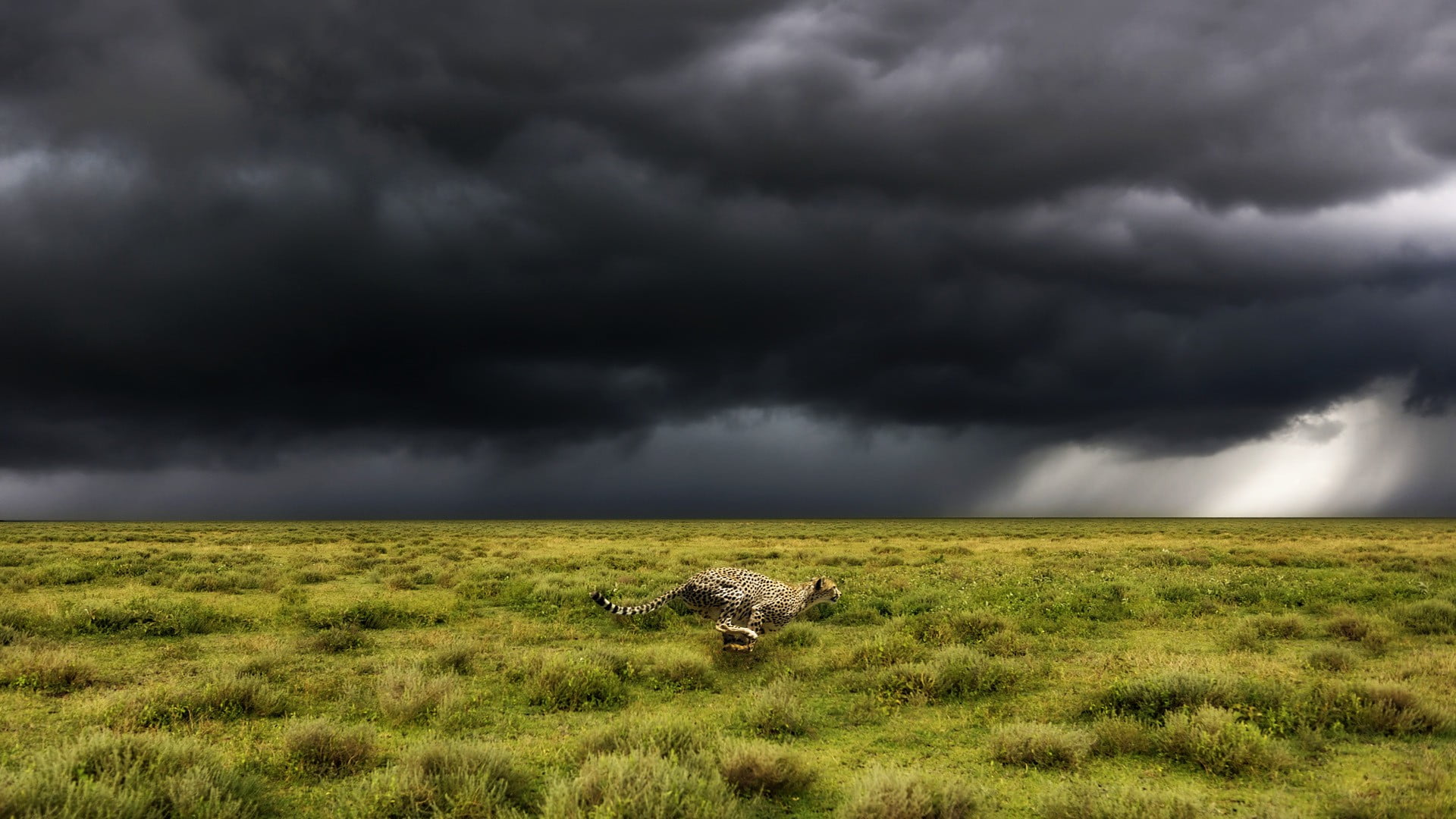 nature, storm, storm cloud, outdoors, semi-arid, brown, rug, digital composite, 1080P, landscape, cloud - sky, ominous, black, scenics - nature, dark, HD Wallpaper