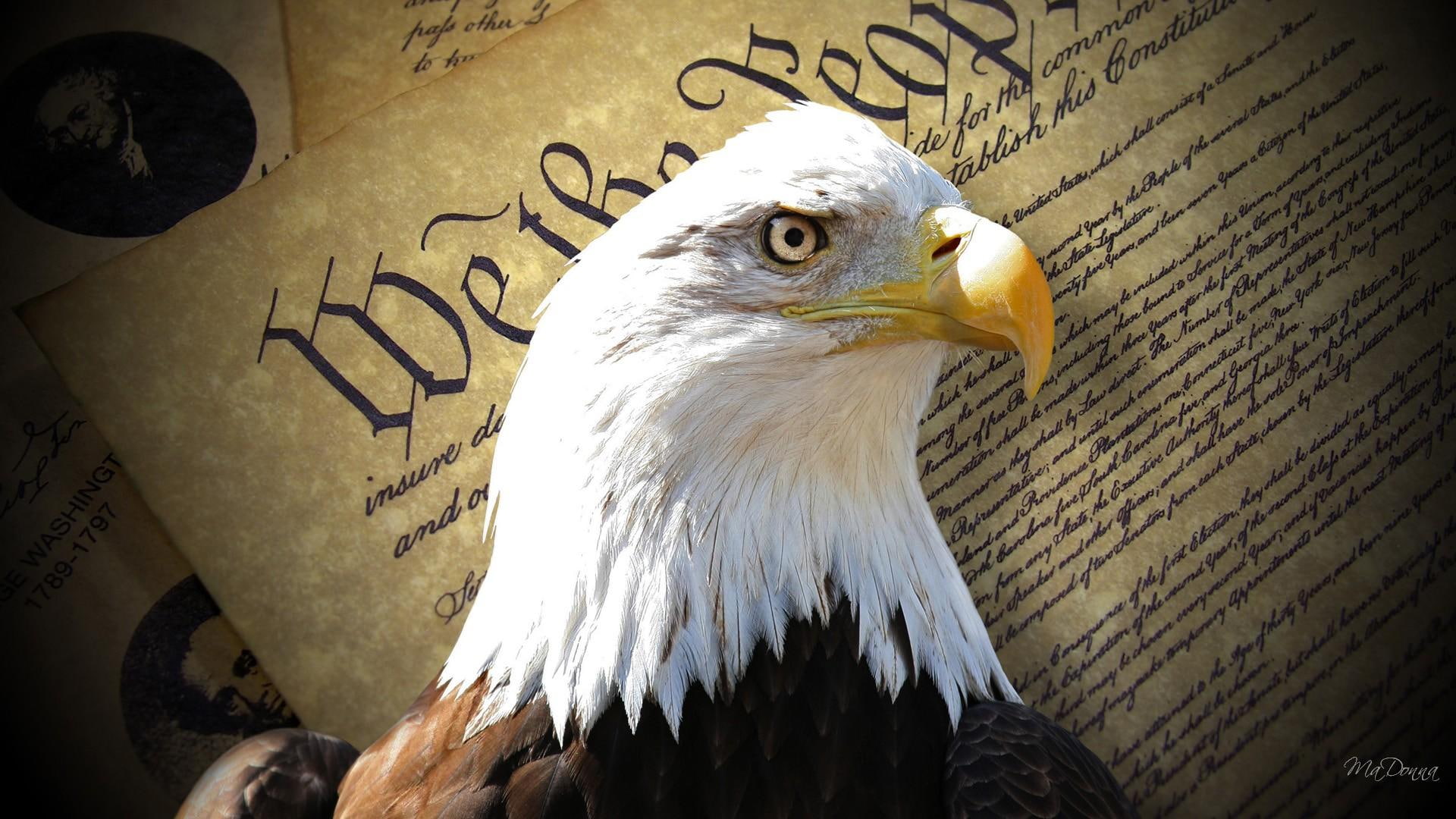 eagle, 1080P, firefox persona, untied states of america, independence day, freedom, dom, patriotic, history, HD Wallpaper