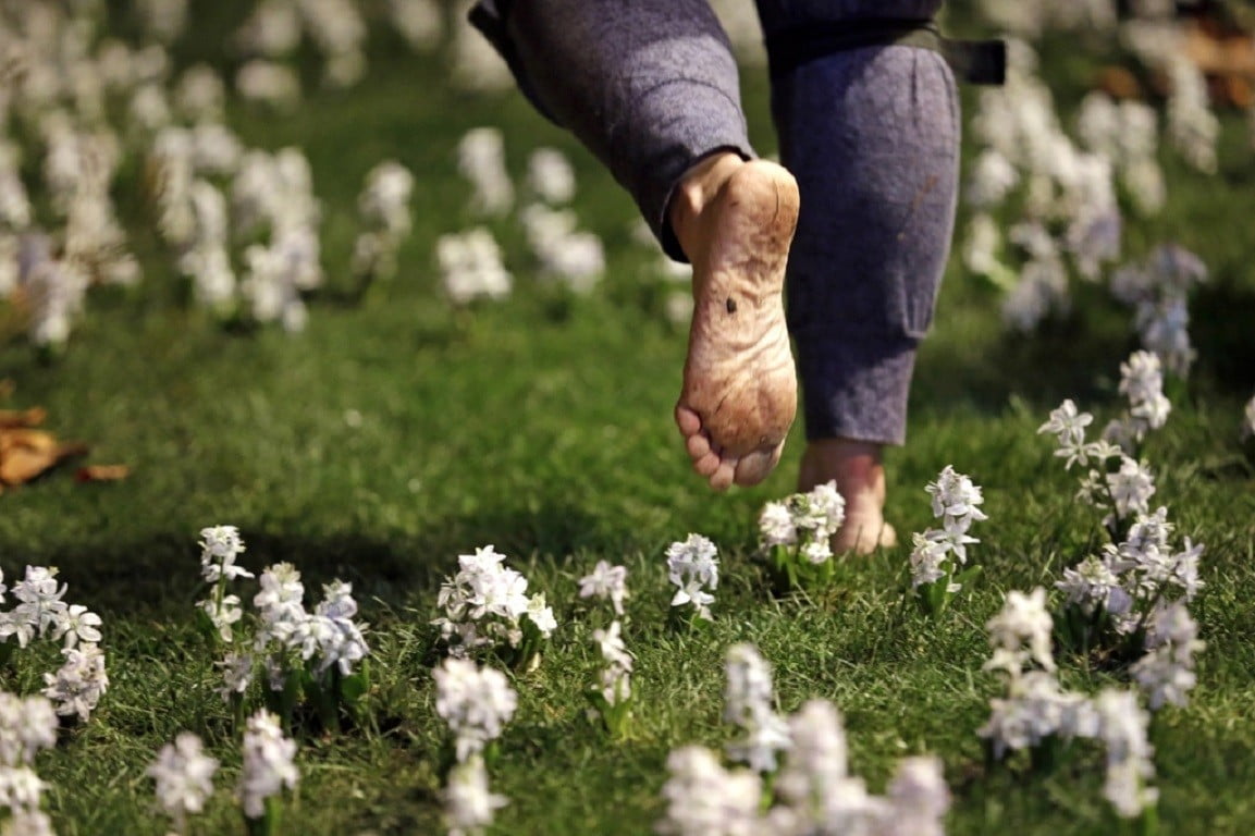 flower, feet, lifestyles, human body part, 480P, fragility, One Last Run, hand, selective focus, human hand, plant, freedom, white, flowering plant, care, HD Wallpaper