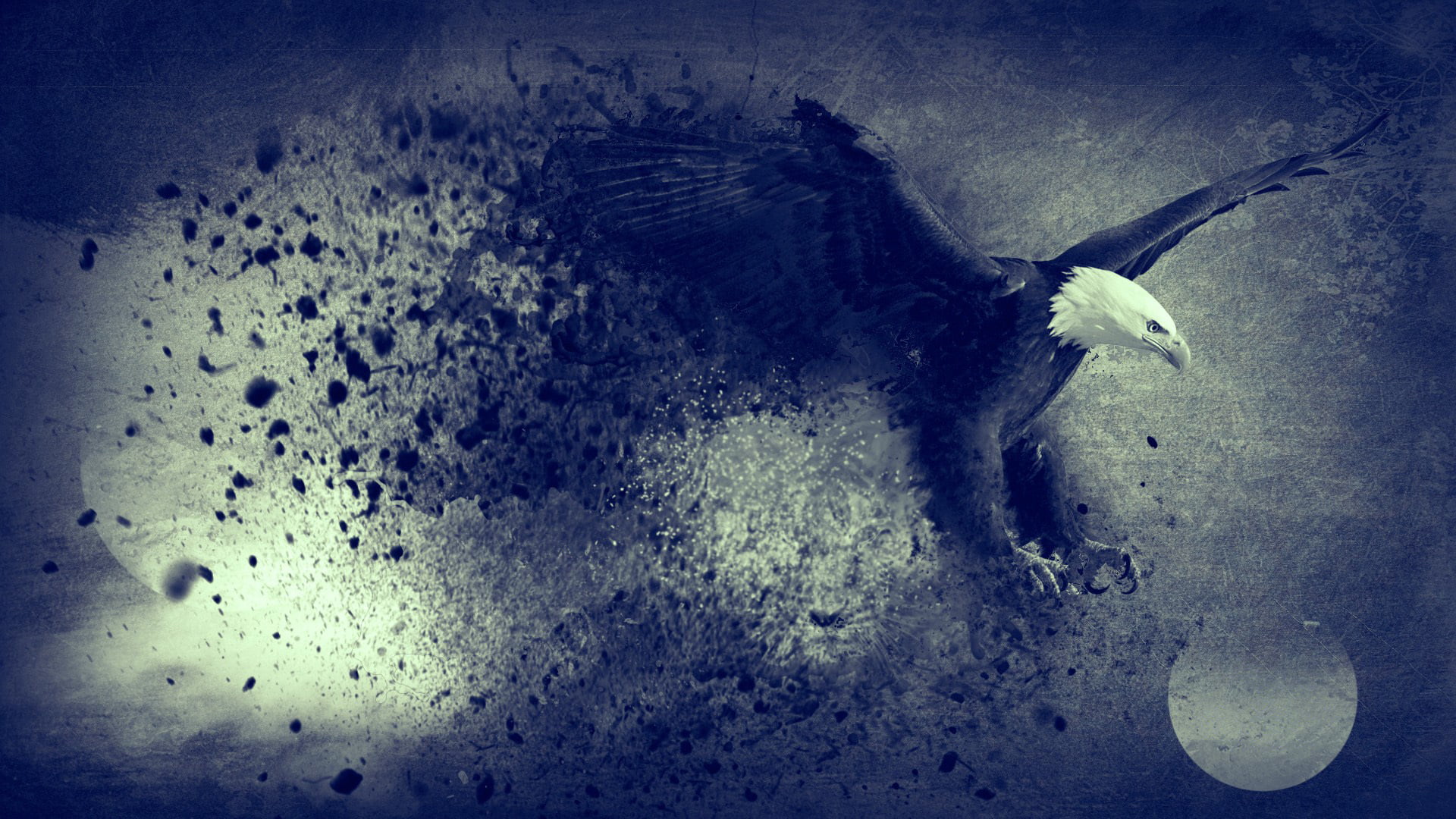 moon, dark, horror, illustration, wildlife, freedom, no People, blue, 1080P, black Color, abstract, eagle, bird, sea, digital art, nature, old, flying, HD Wallpaper