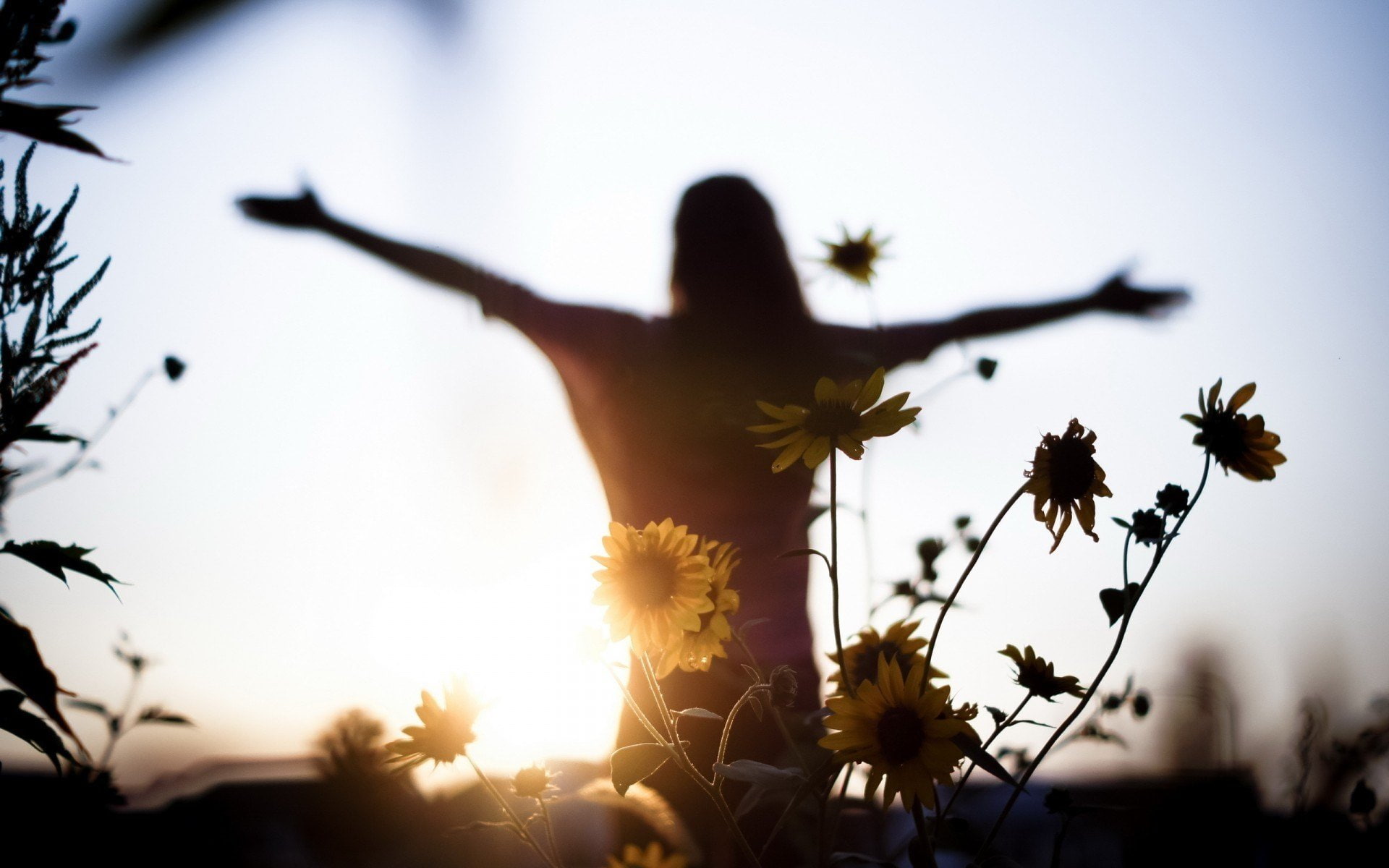 light, sunset, freedom, mood, girl, women, 1080P, flowers, HD Wallpaper