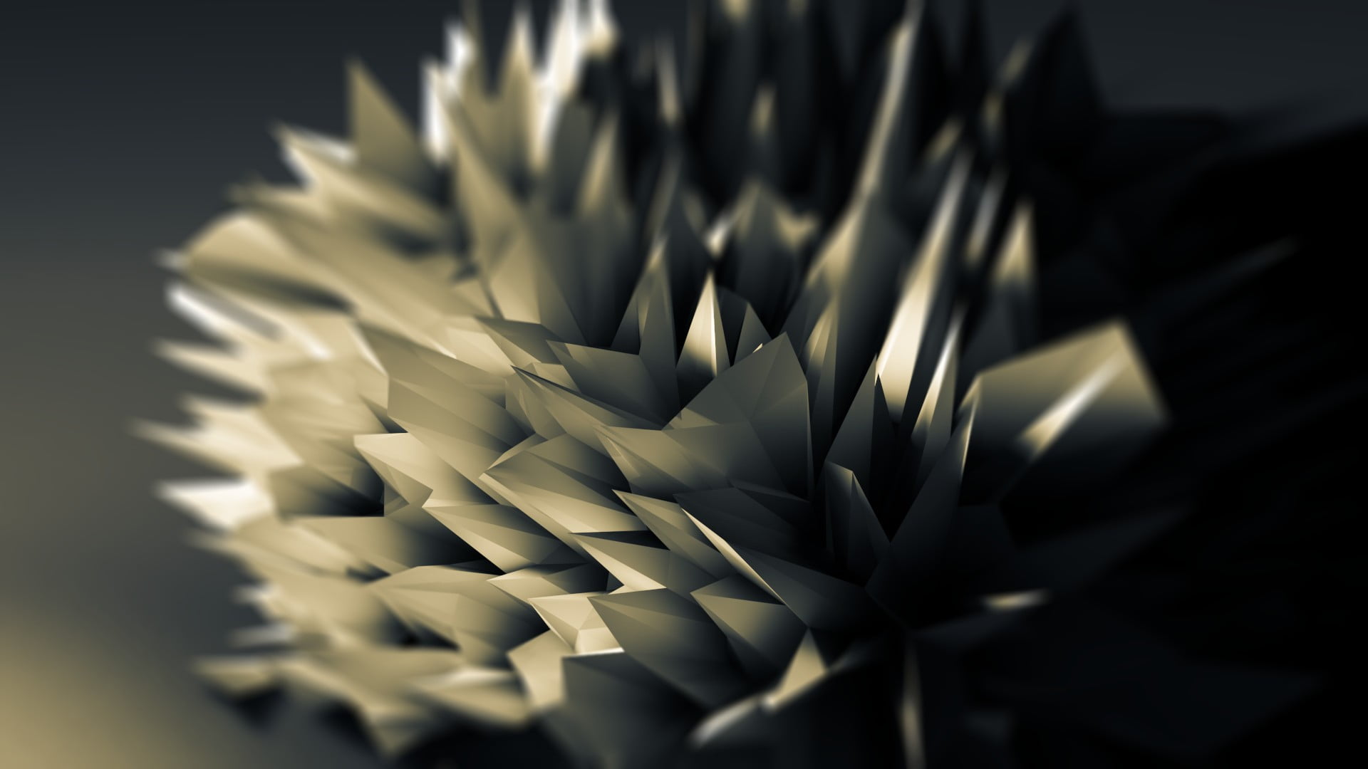 paper, abundance, large group of objects, creativity, flowering plant, plant, studio shot, black, art and craft, no people, craft, high angle view, white, HD Wallpaper