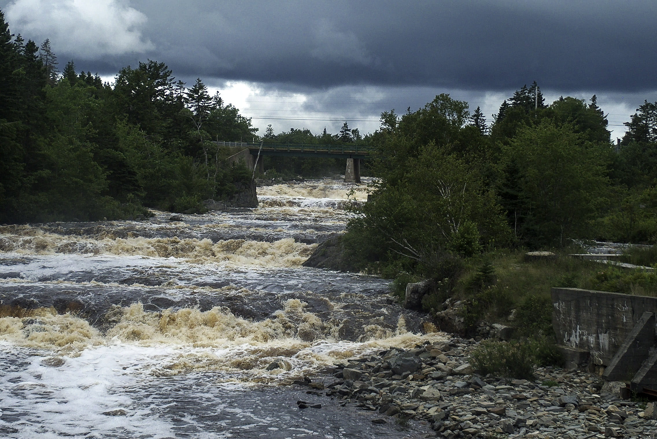 water, Seaside festival, land, scotia, harbour, sheet, Sheet Harbour, forest, rapids, nature, landscape, river, outdoors, Canada, nova, flowing Water, tree, HD Wallpaper