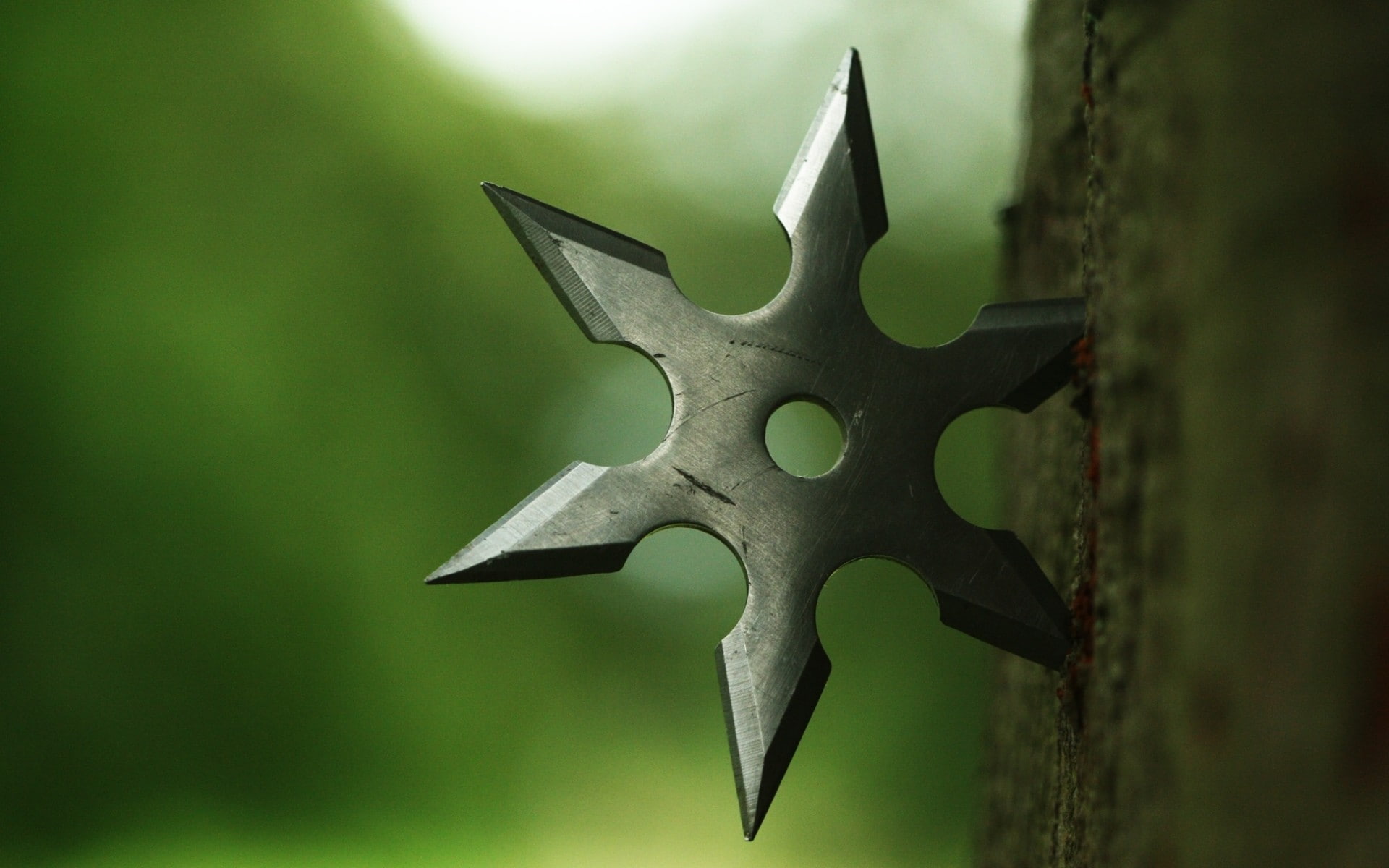Depth Of Field, macro, closeup, 1080P, nature, wood, shuriken, Metal, weapon, HD Wallpaper