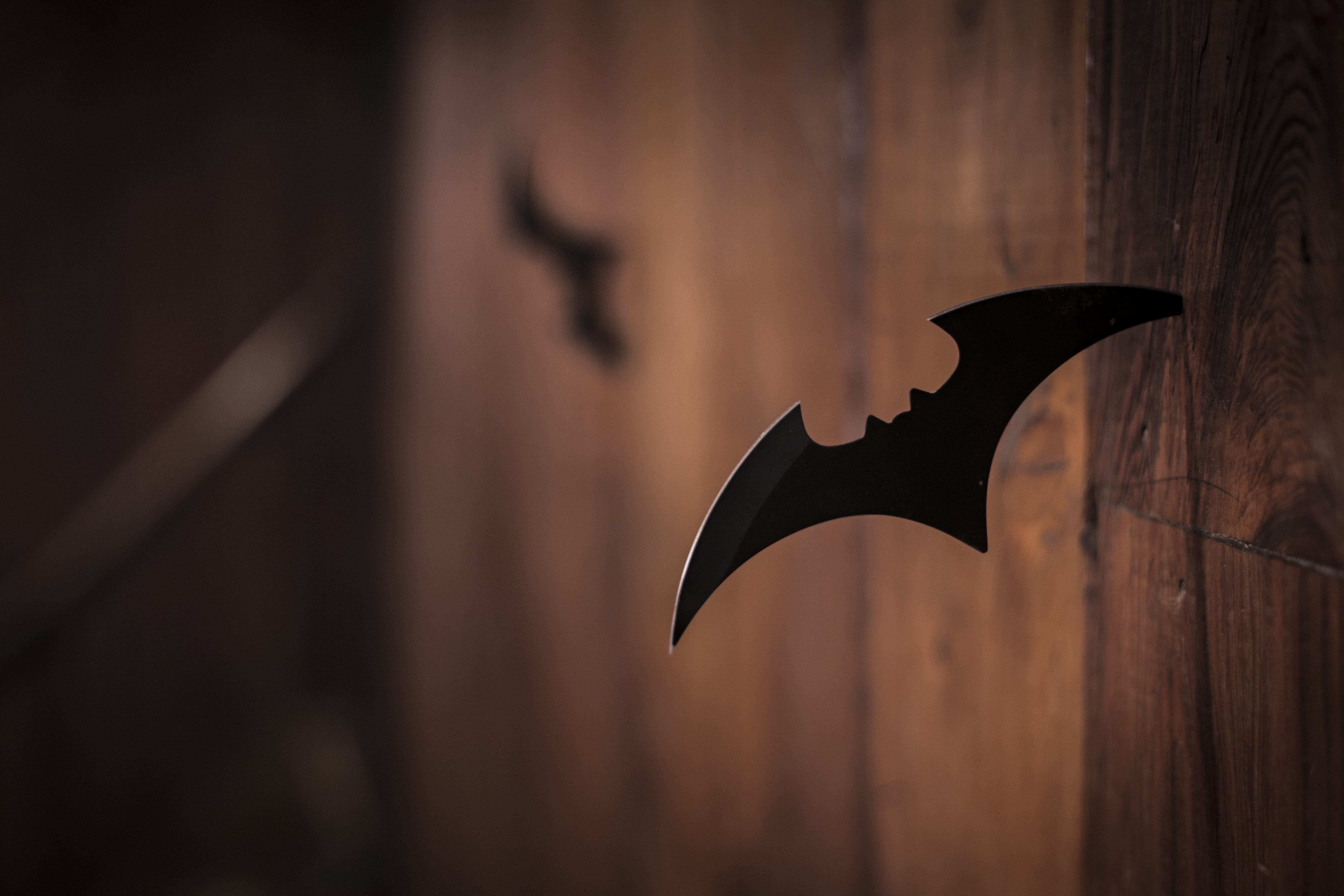 bird, focus on foreground, 5K, close-up, art and craft, craft, photo, wood, wood - material, representation, indoors, shuriken, black color, bat - animal, HD Wallpaper