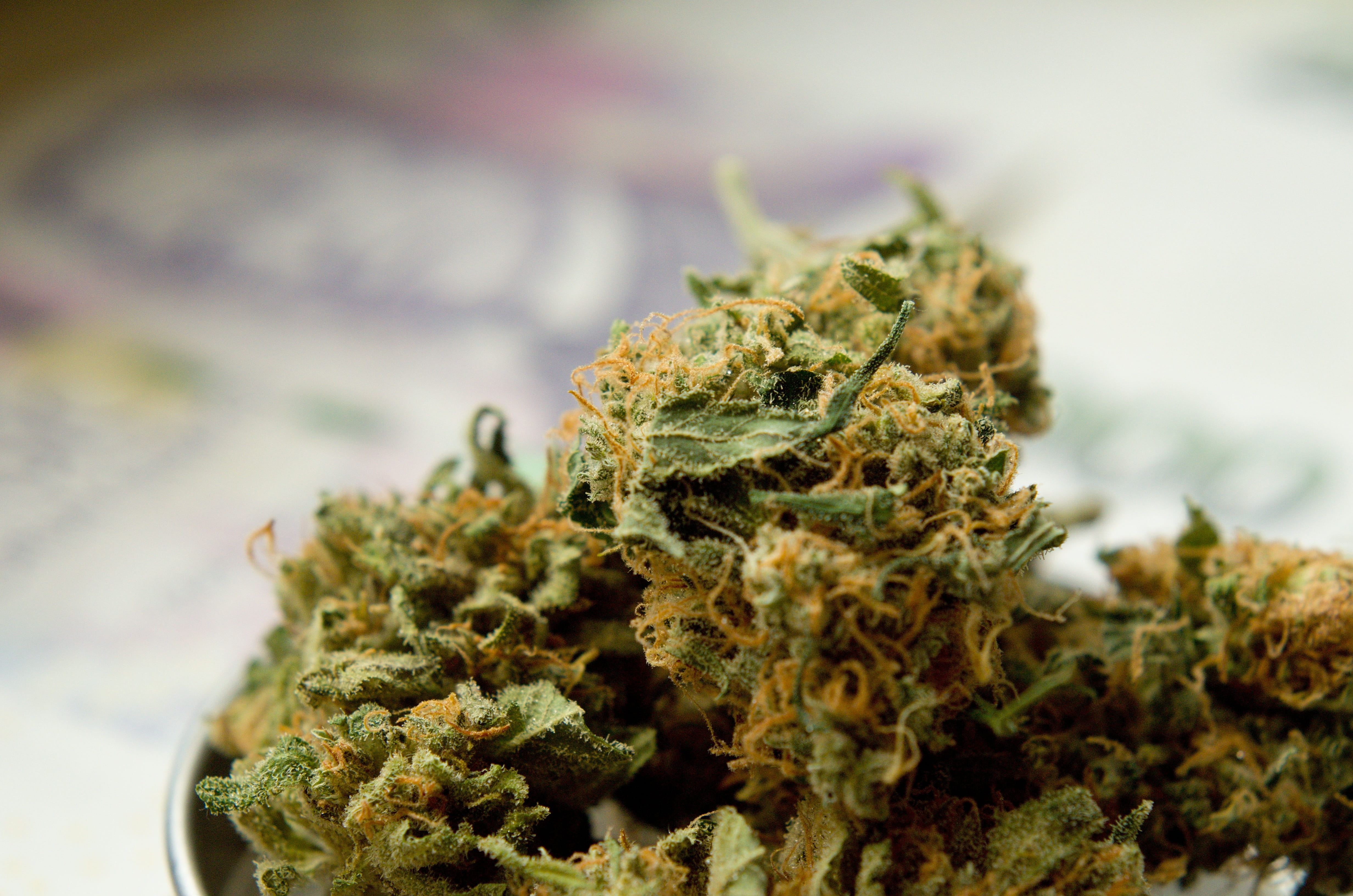 drugs, money, ganja, hemp, herbal medicine, food and drink, relaxing the drug, narcotic, medicine, thc, medical cannabis, marijuana, therapy, green, no people, HD Wallpaper