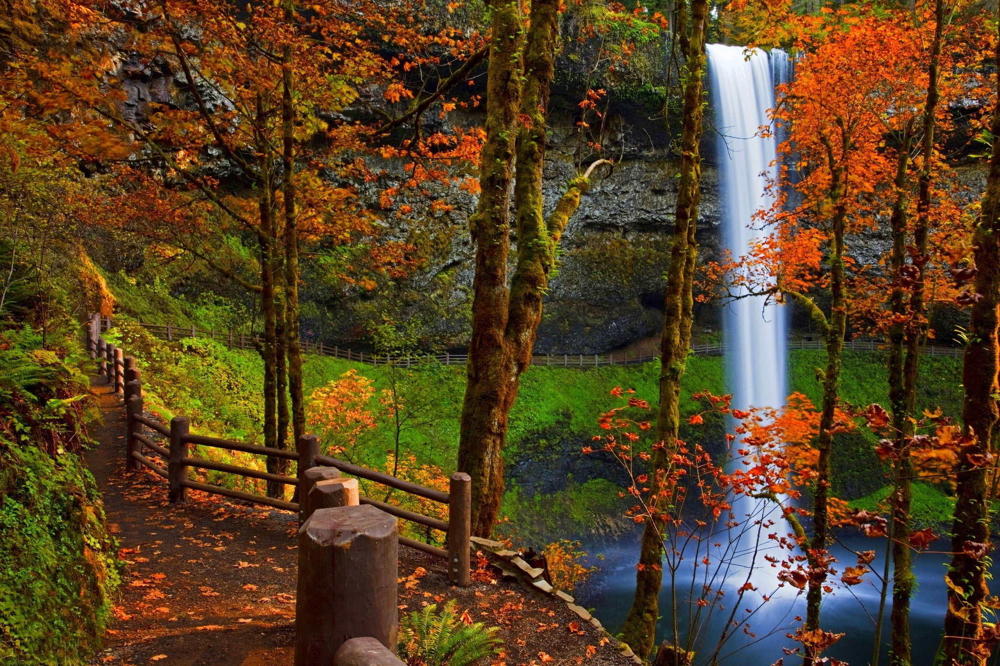 path, october, green Color, rocks, change, woodland, one person, multi Colored, road, waterfalls, walk, maple Tree, uSA, leaves, tree trunk, gold Colored, HD Wallpaper