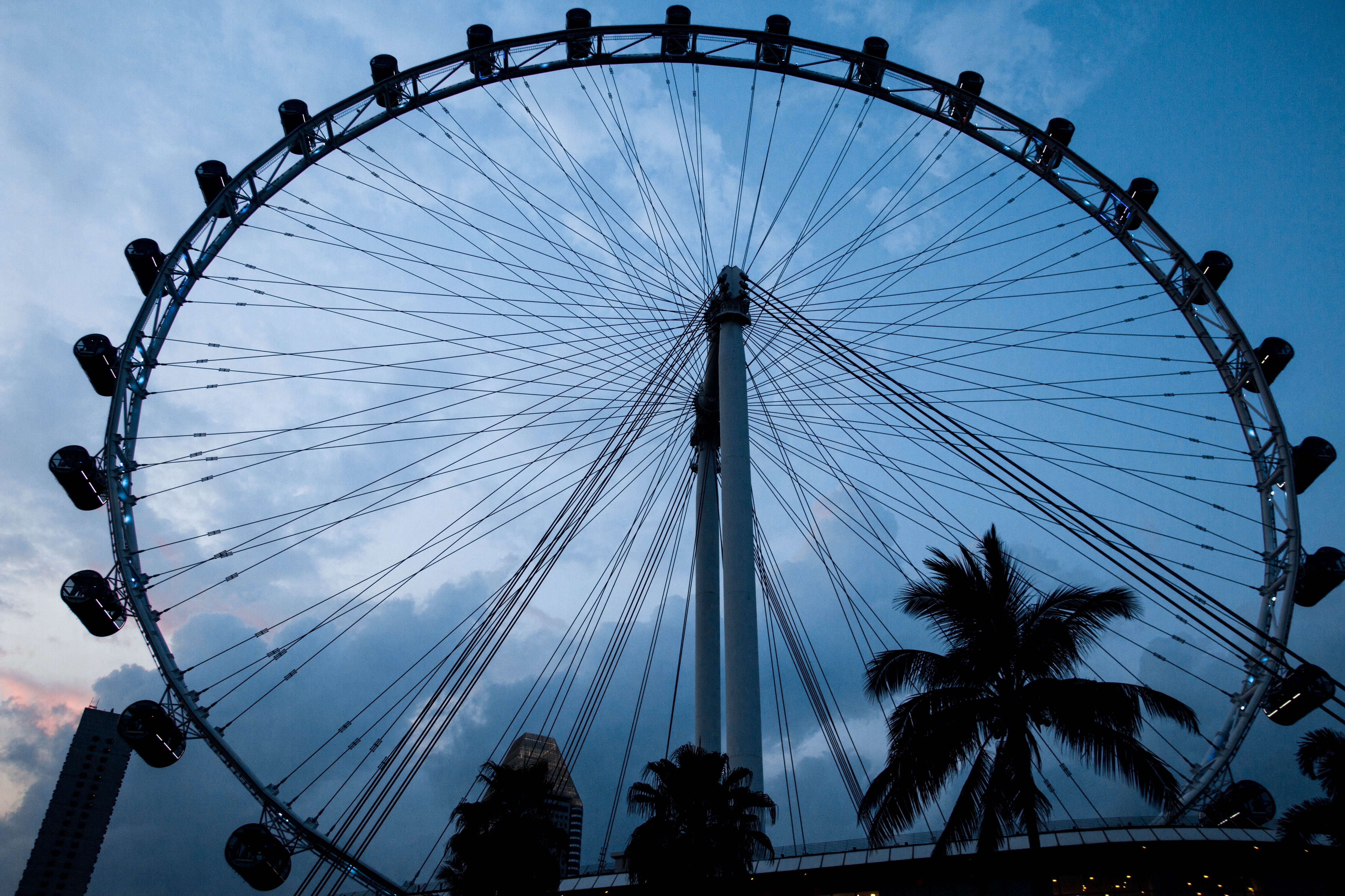 leisure activity, arts culture and entertainment, vsco, hd, flyer, tree, singapura, cloud - sky, built structure, day, outdoors, asia, dope, singapore, HD Wallpaper