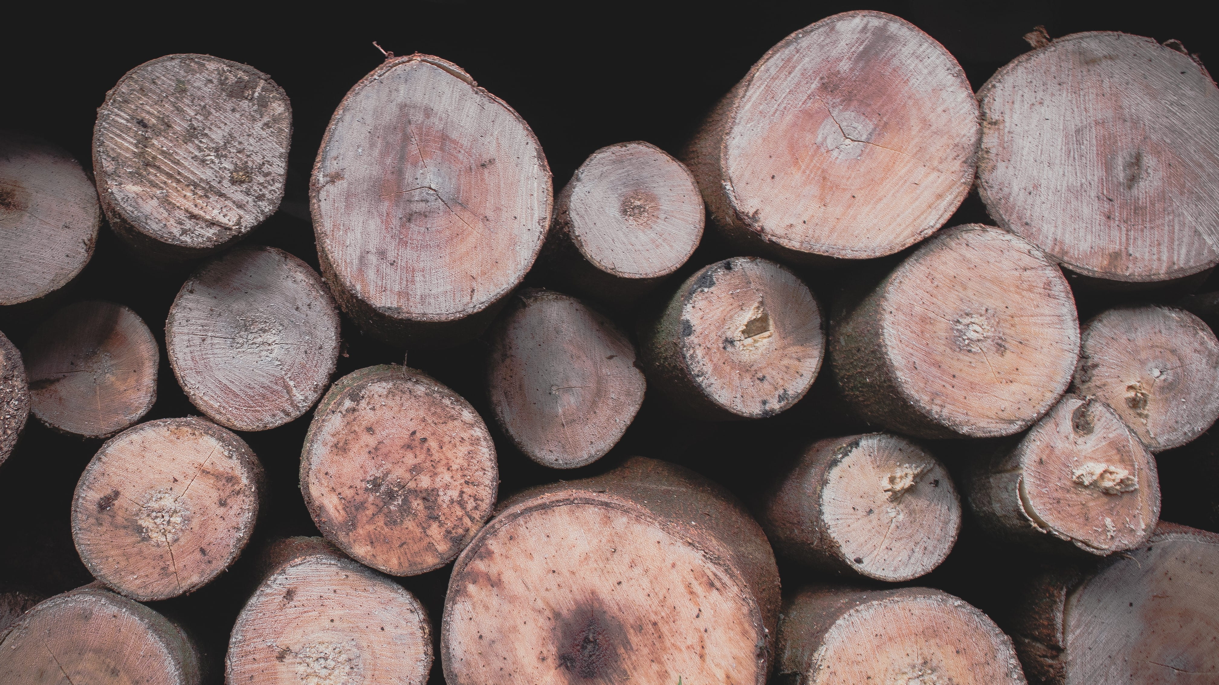 firewood, shape, wood - material, trees, brown, design, outdoors, backgrounds, lumber industry, vintage, style, nature, wood, abundance, deforestation, HD Wallpaper