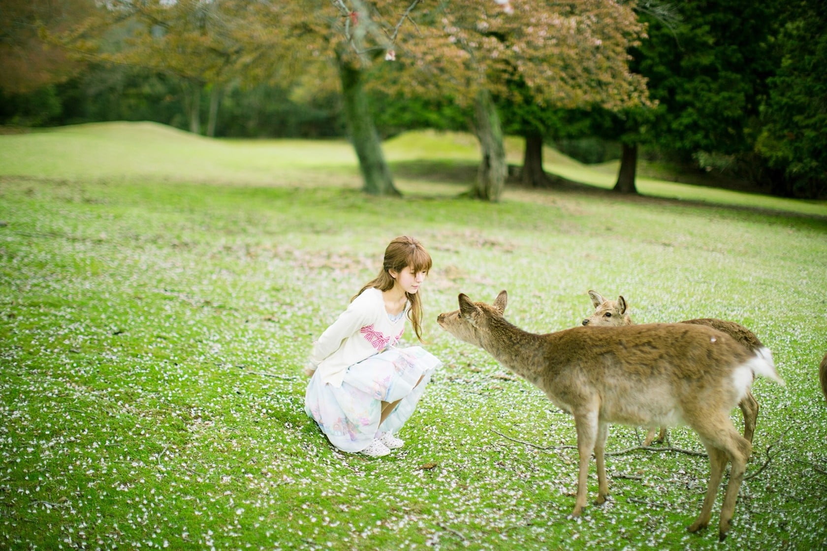 nature, model, Yurisa Chan, plant, full length, domestic animals, vertebrate, hairstyle, land, green color, girls, tree, innocence, field, women, Korean, HD Wallpaper