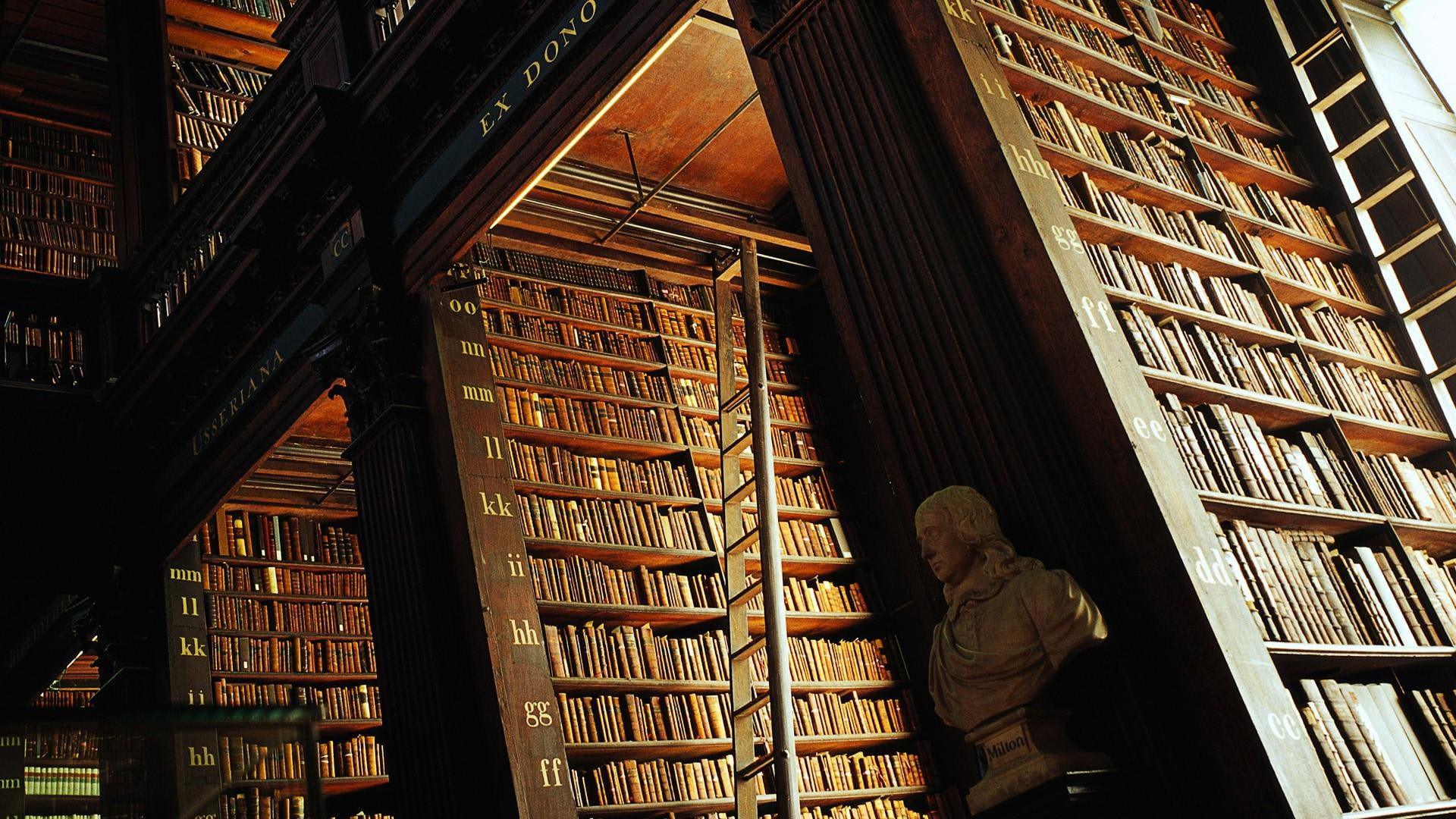 bust, shelf, arrangement, education, architecture, books, standing, bookshelf, ireland, 1080P, men, book, working, building, publication, statue, low angle view, HD Wallpaper