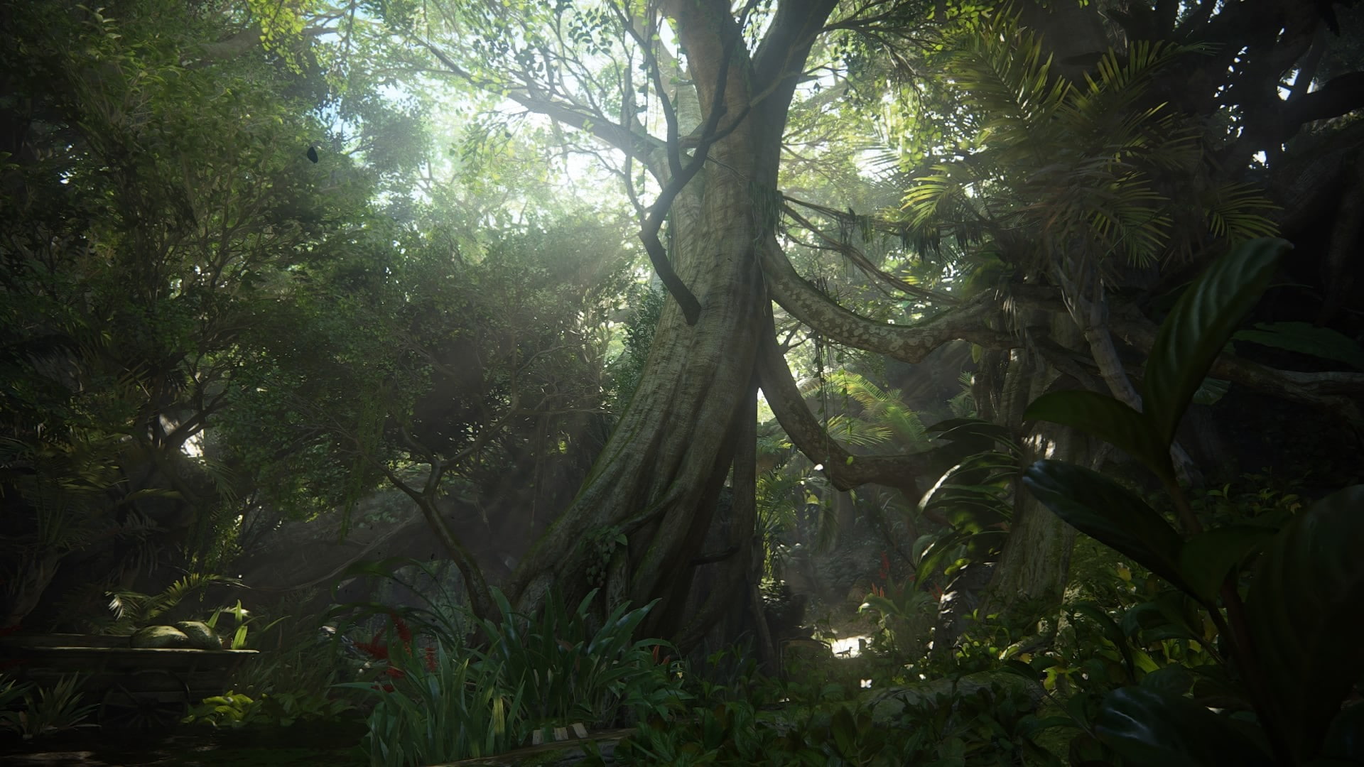 trunk, streaming, tranquil scene, sunlight, tree, tranquility, woodland, beauty in nature, no people, Uncharted 4: A Thiefs End, land, outdoors, tree trunk, HD Wallpaper