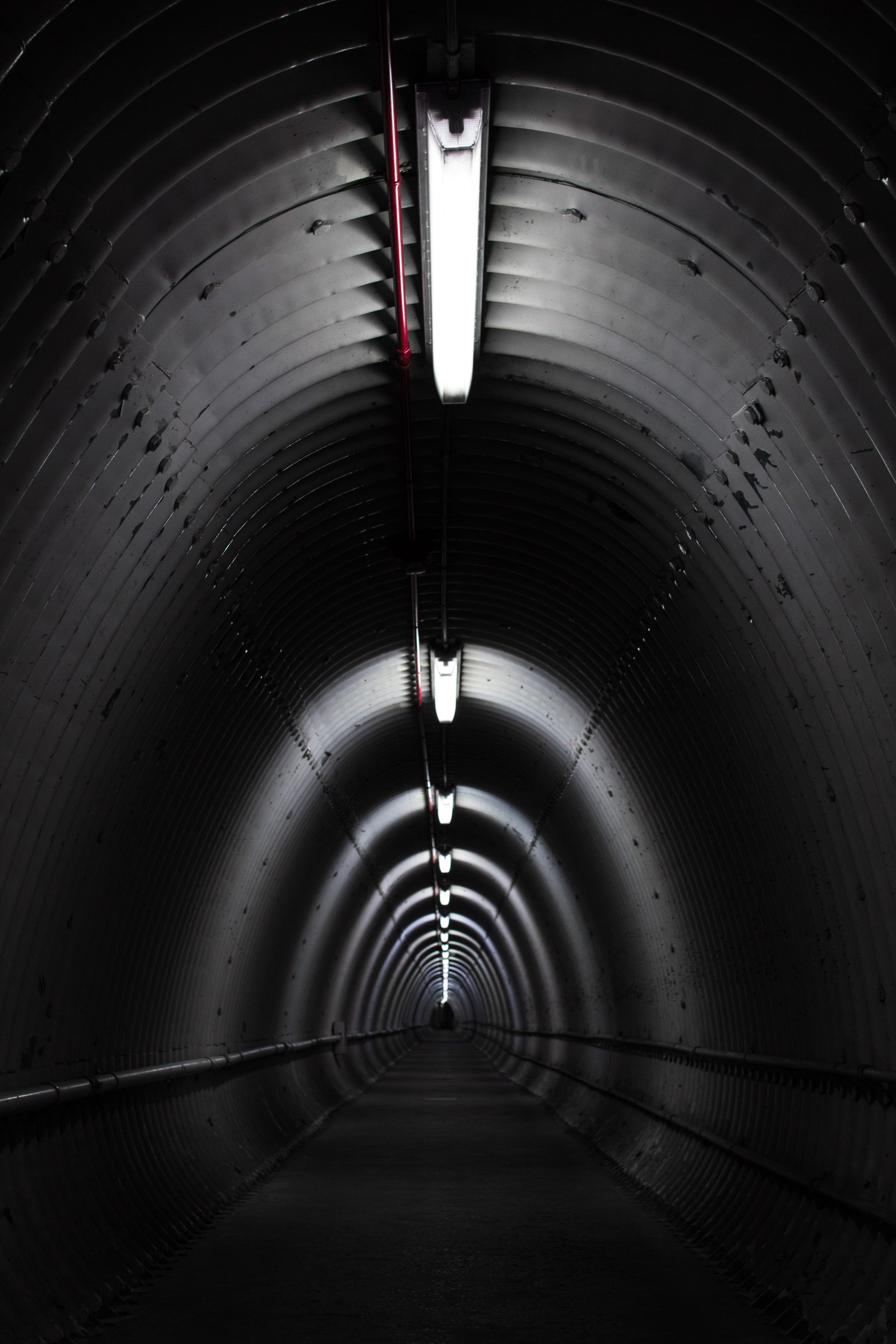 light, human, arched, hallway, transportation, illuminated, indoors, the way forward, light at the end of the tunnel, eye, underground walkway, photo, ceiling, Phone HD Wallpaper