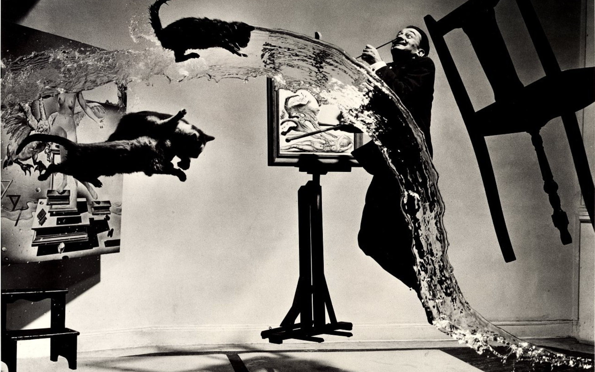 Salvador Dalí, water, Chair, Painters, Floating, 1080P, cat, HD Wallpaper