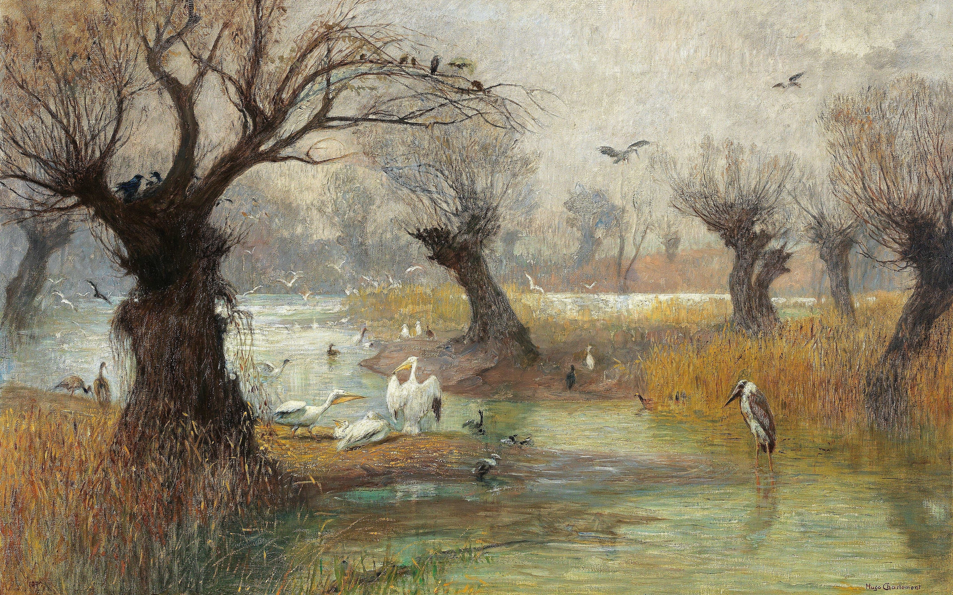 Austrian painter-a landscape painter, Austrian painter, Pelicans on the river, Hugo Charlemont, 4K, Pelicans on the Riverbank, oil on canvas, HD Wallpaper