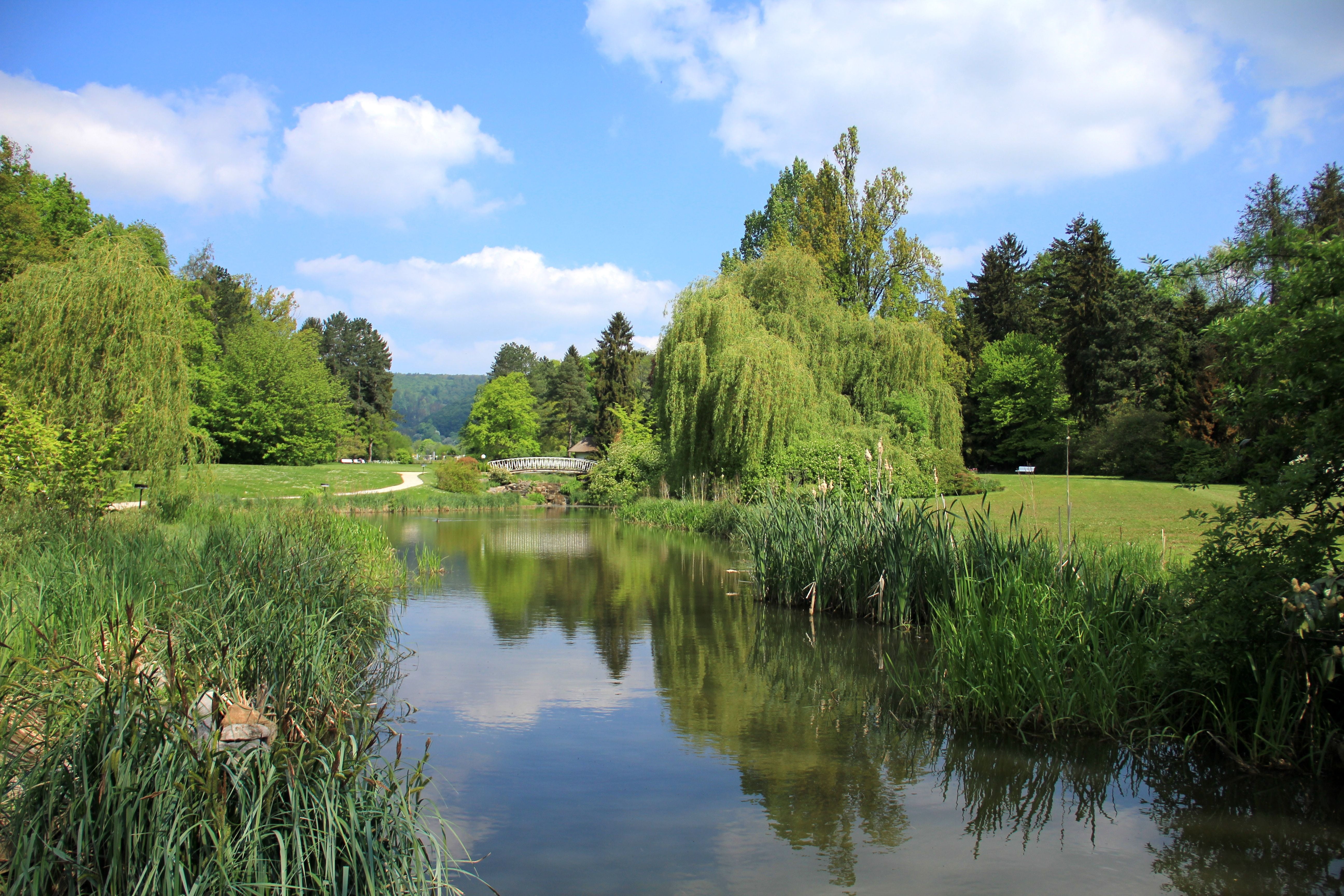 plant, pond, day, scenics - nature, spring, no people, nature, body, reflection, 5K, lake, idyllic, beauty in nature, tranquility, blue, trees, landscape, HD Wallpaper