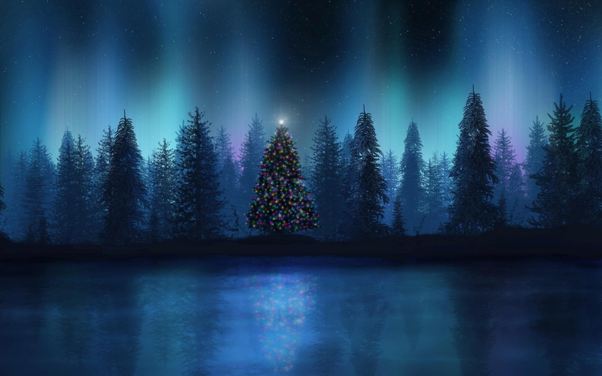 forest, snow, 1080P, trees, christmas, 1920x1200, star, winter, holidays, tree, fine, HD Wallpaper