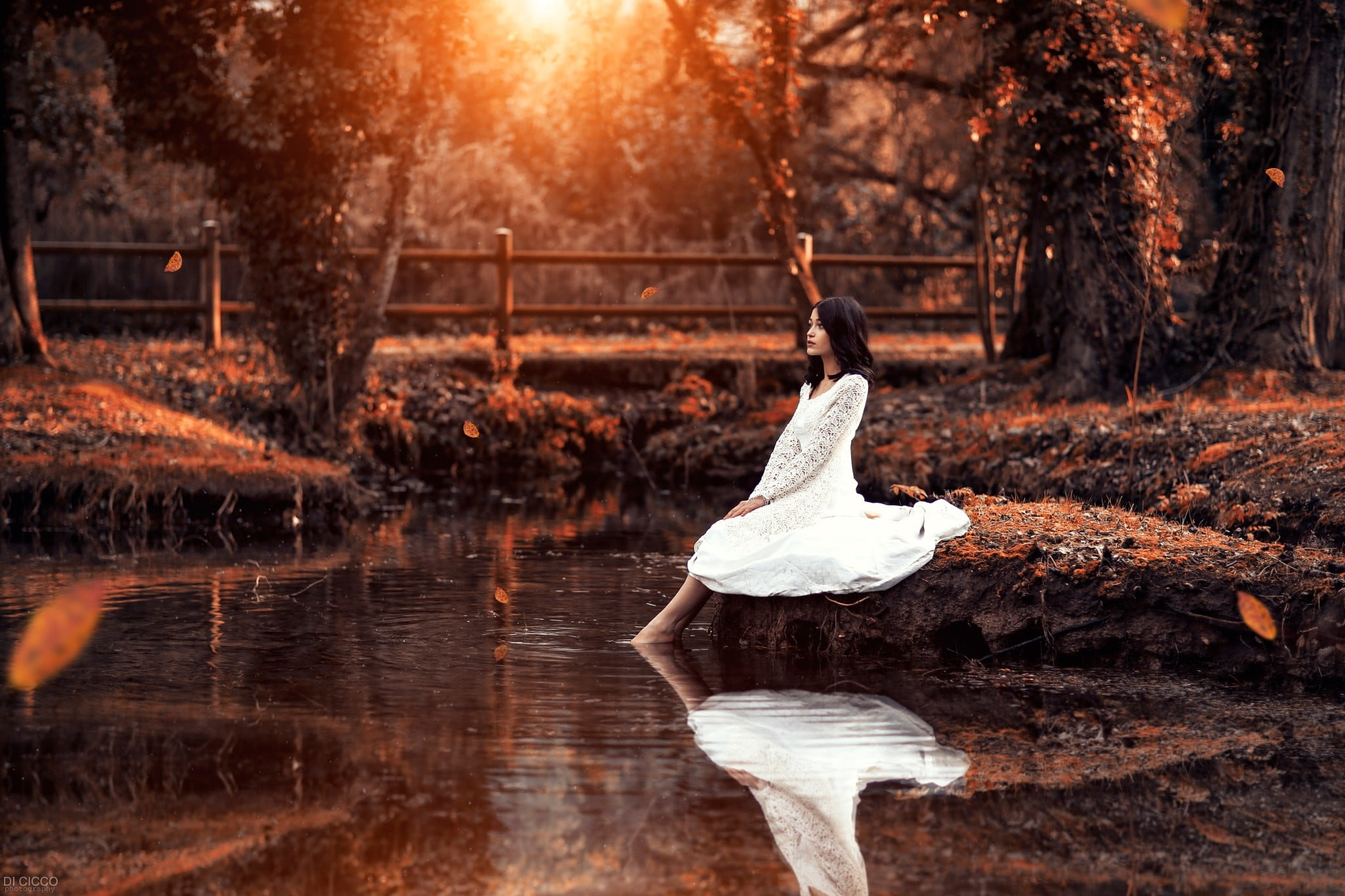model, young women, autumn, forest, outdoors, hairstyle, tree, brunette, one person, Alessandro Di Cicco, 1080P, beautiful woman, dress, white color, adult, HD Wallpaper